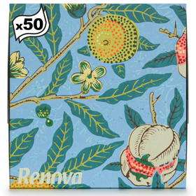 Len&ccedil;os Faciais Design Sazonais Renova