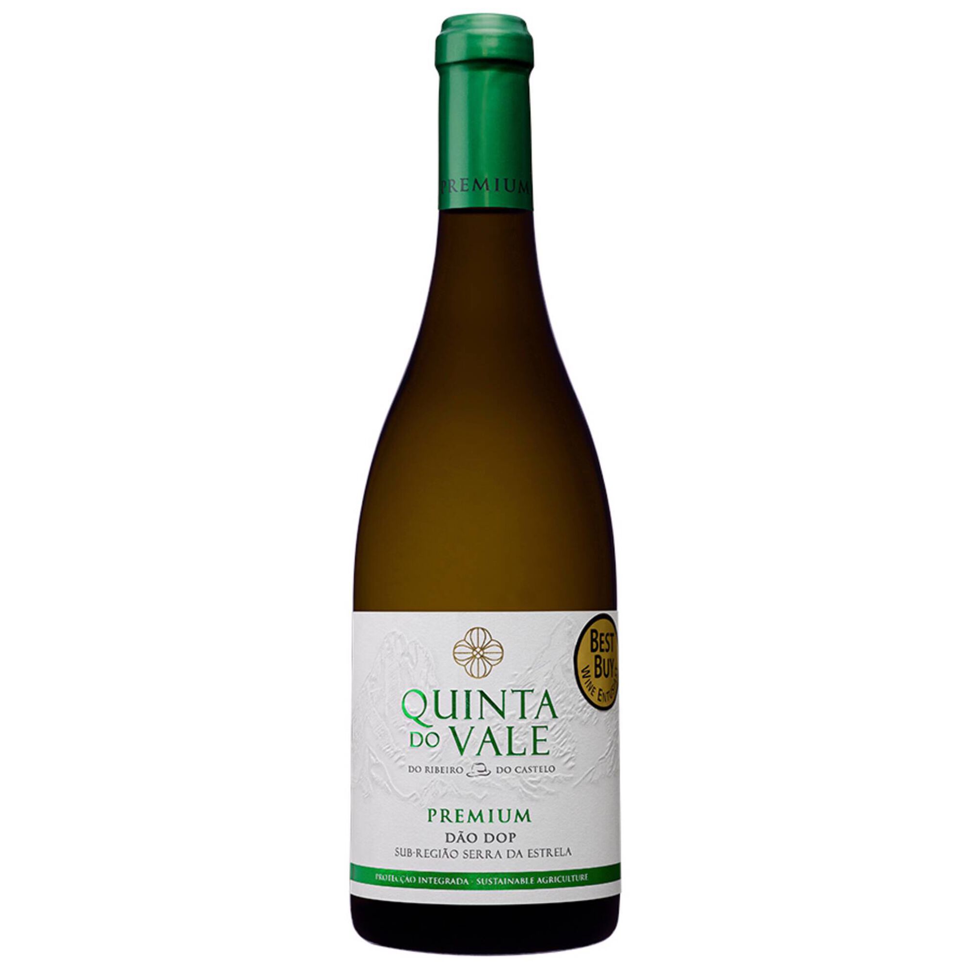 Quinta do Vale da Ribeira Premium DOC Dão Vinho Branco
