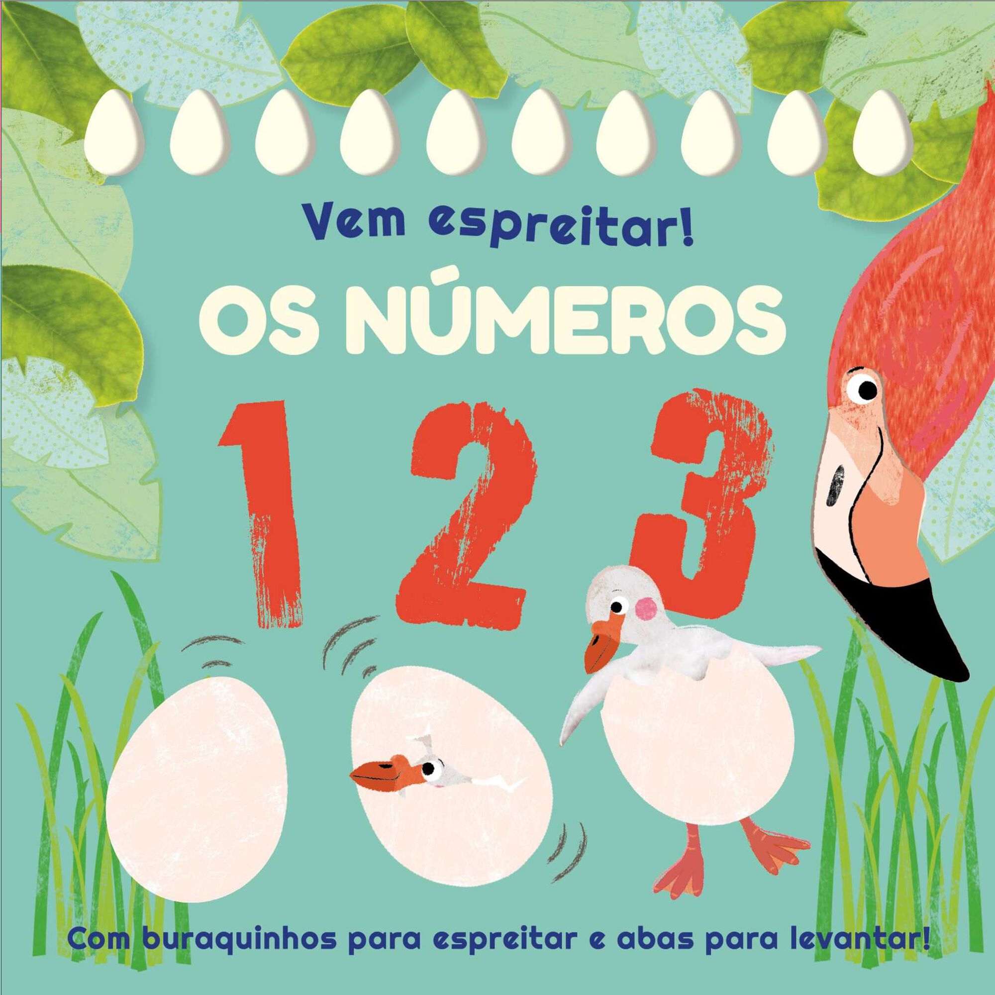 Vem Espreitar! – Os Números