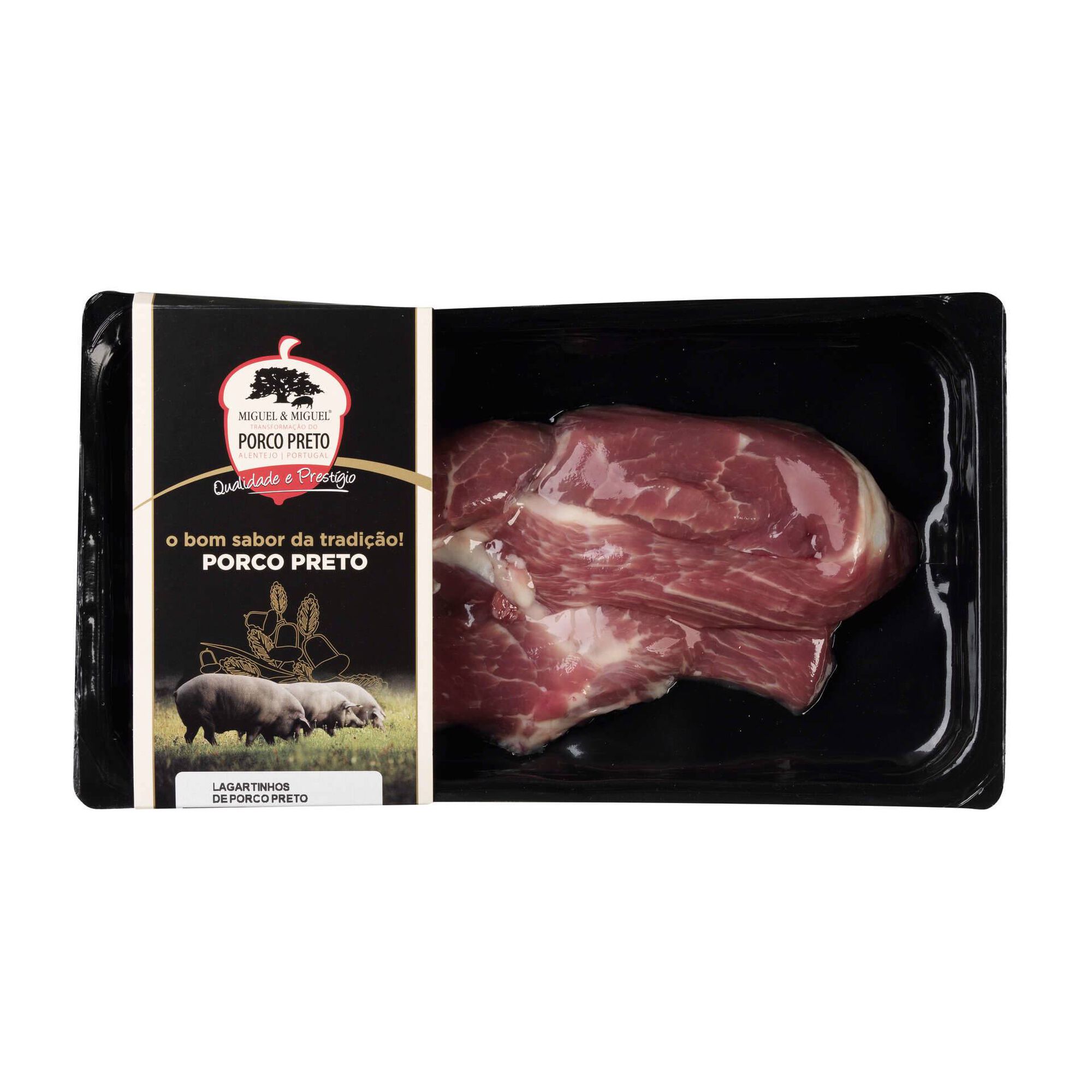 Lagartinhos de Porco Preto Miguel & Miguel