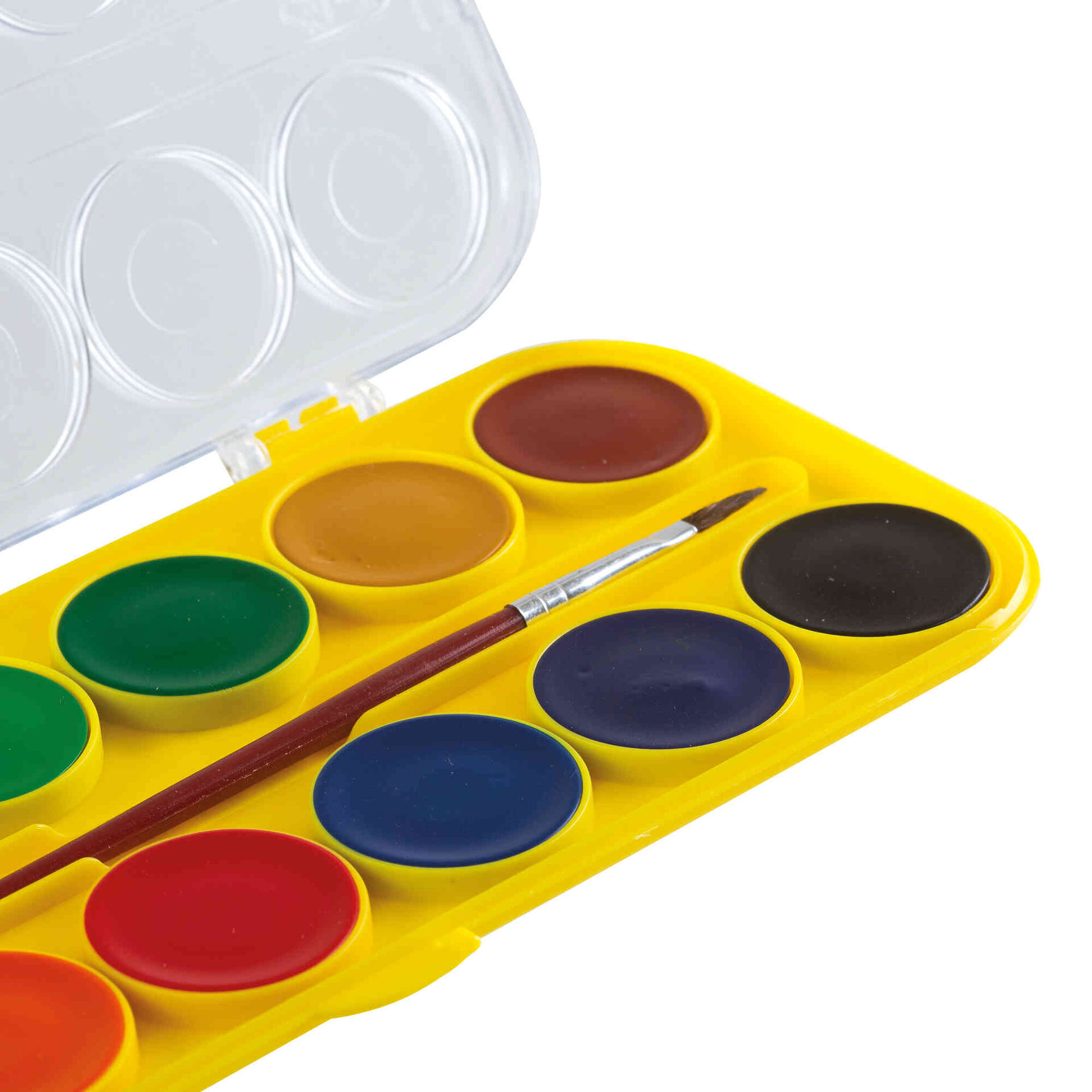 Aguarelas com Pincel