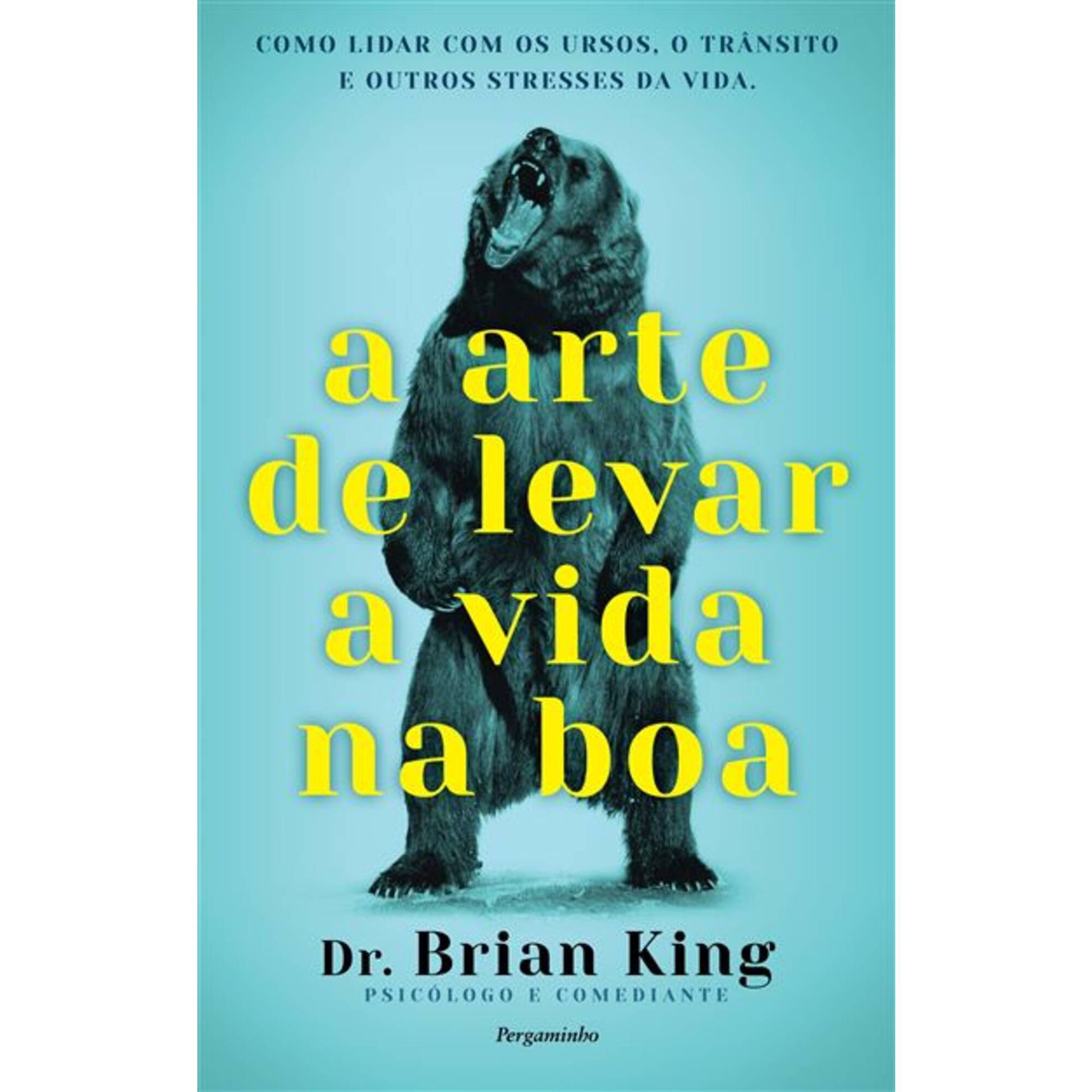 A Arte de Levar a Vida na Boa de Brian King