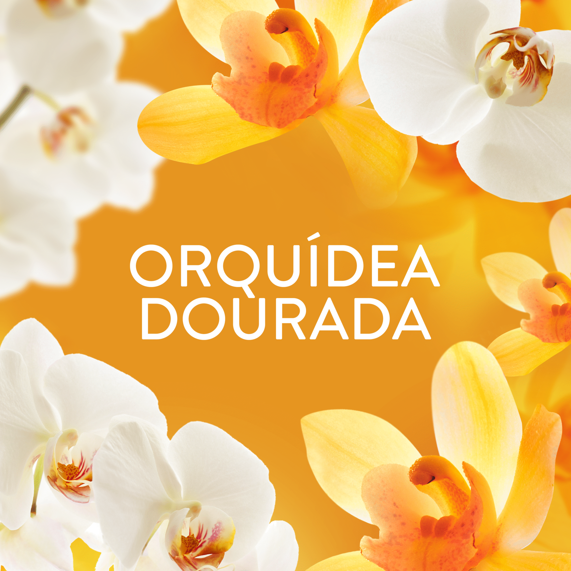 Intensificador Perfume P&eacute;rolas Orqu&iacute;dea Dourada Lenor