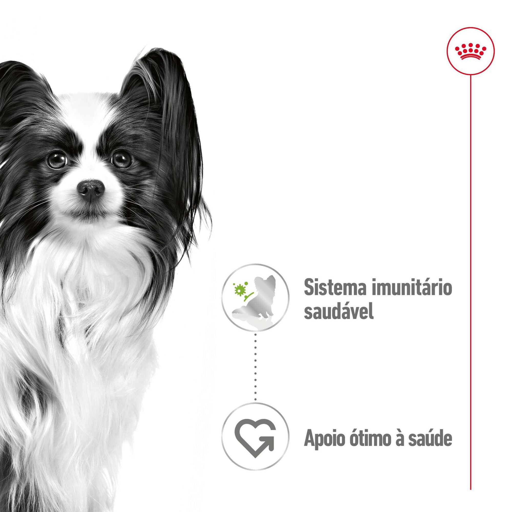 Comida H&uacute;mida para C&atilde;o Adulto X-Small Royal Canin
