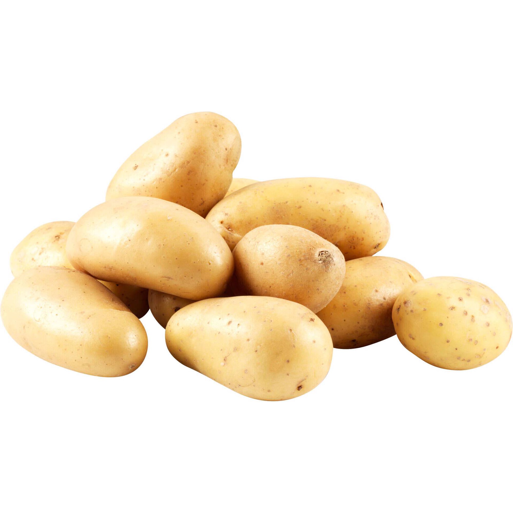 Batata Especial Cozer