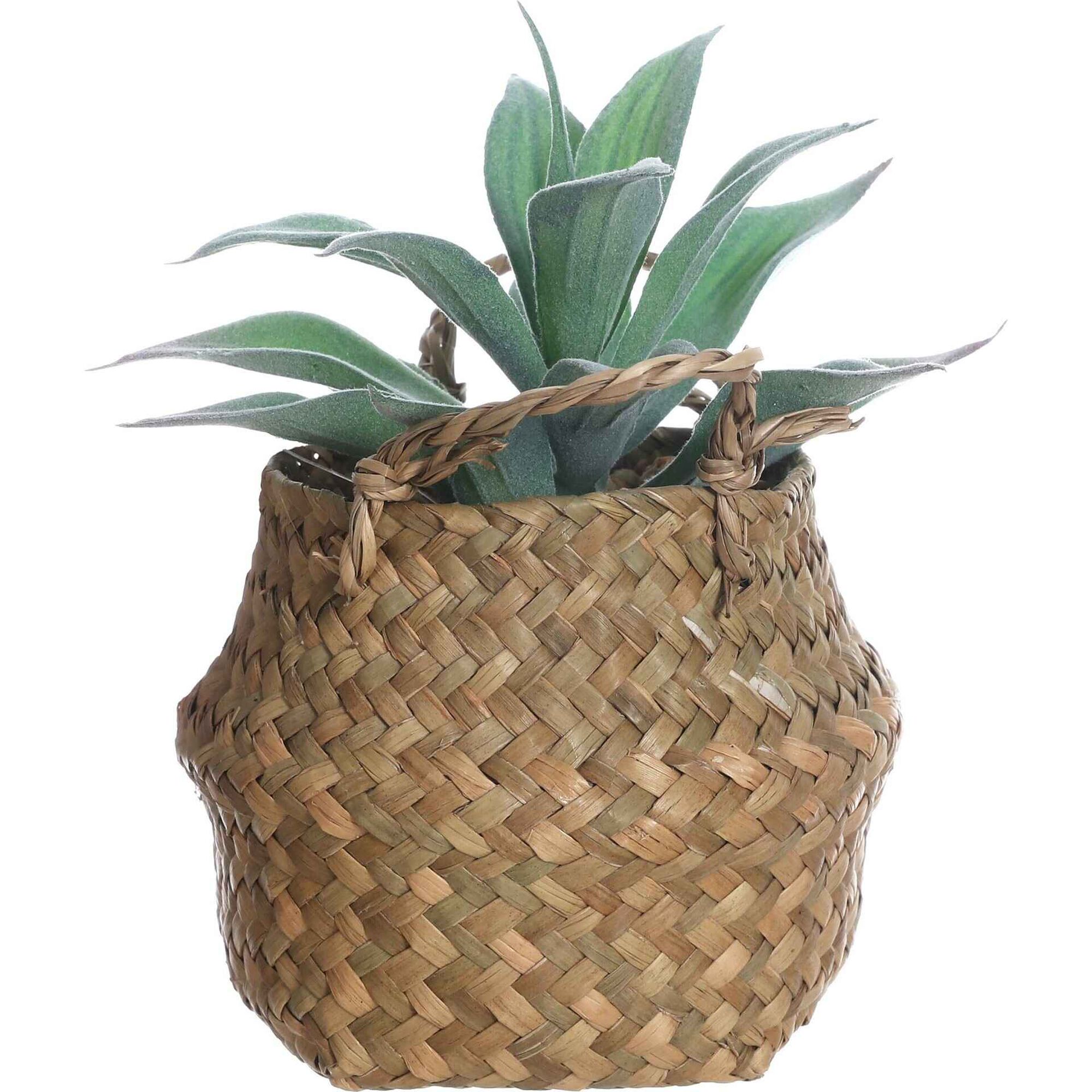 Planta Artificial Suculenta com Cesto com Asas