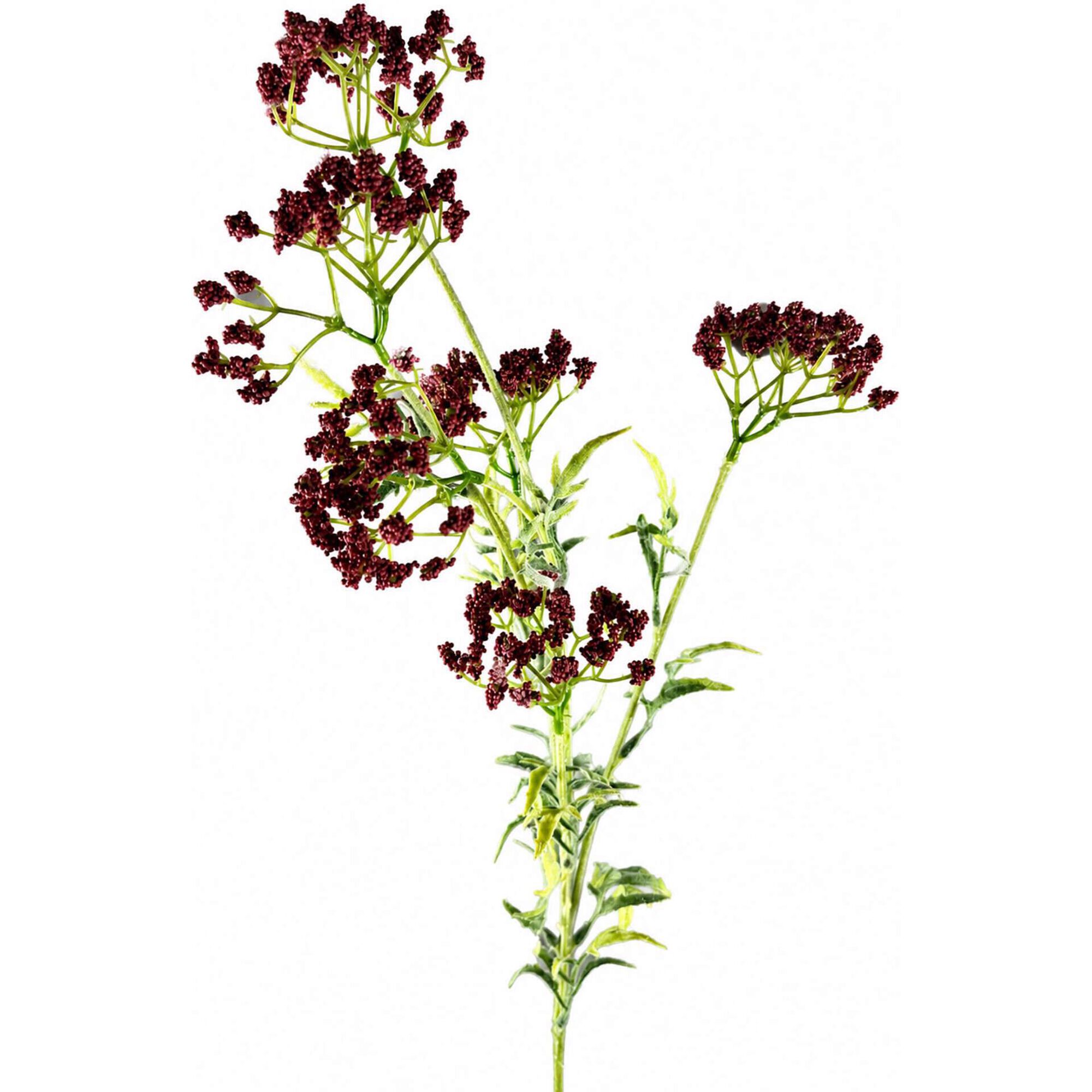 Haste Ramos Flores Rosa Escuro Kasa