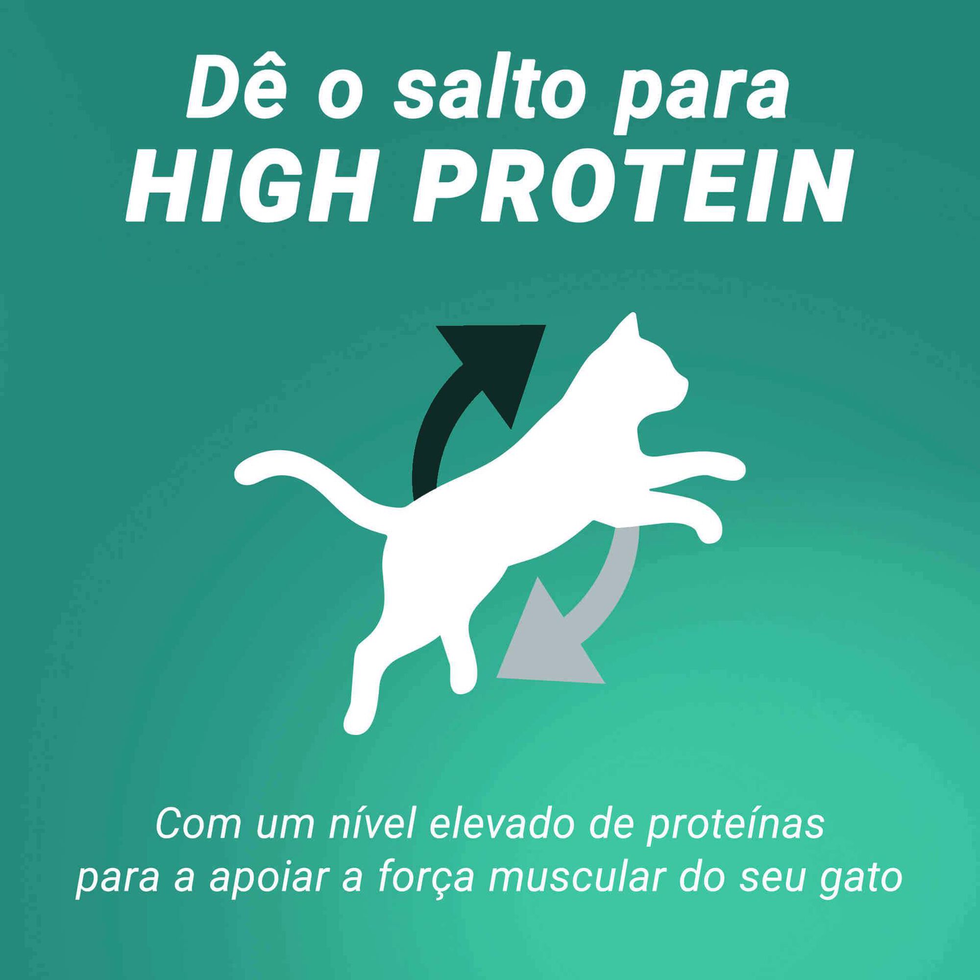 Ra&ccedil;&atilde;o para Gato Adulto High Protein Salm&atilde;o Purina One