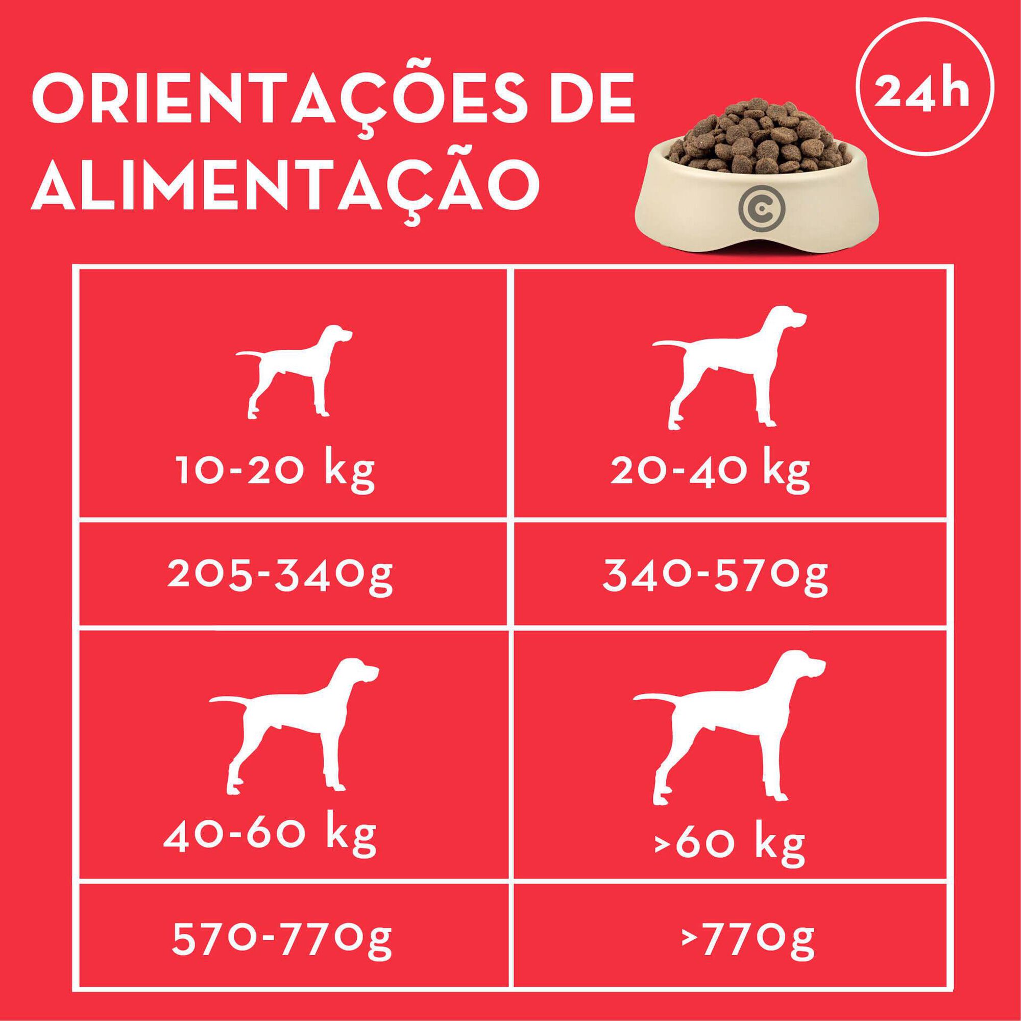 Ra&ccedil;&atilde;o para C&atilde;o Croquetes Carne e Cereais Continente Pet Basic