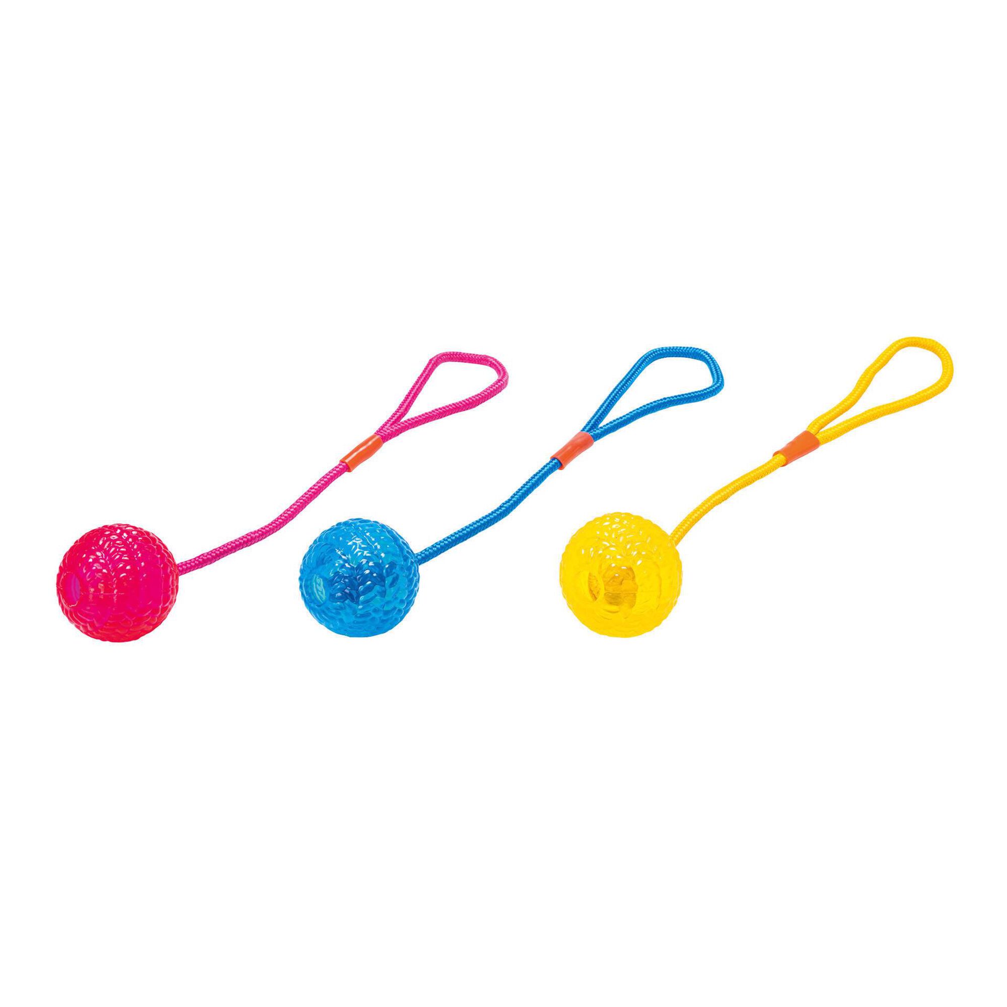 Brinquedo para Cão Bola de Borracha com Corda (Vários Modelos) Brinquedo para Cão Bola de Borracha com Corda (Vários Modelos)