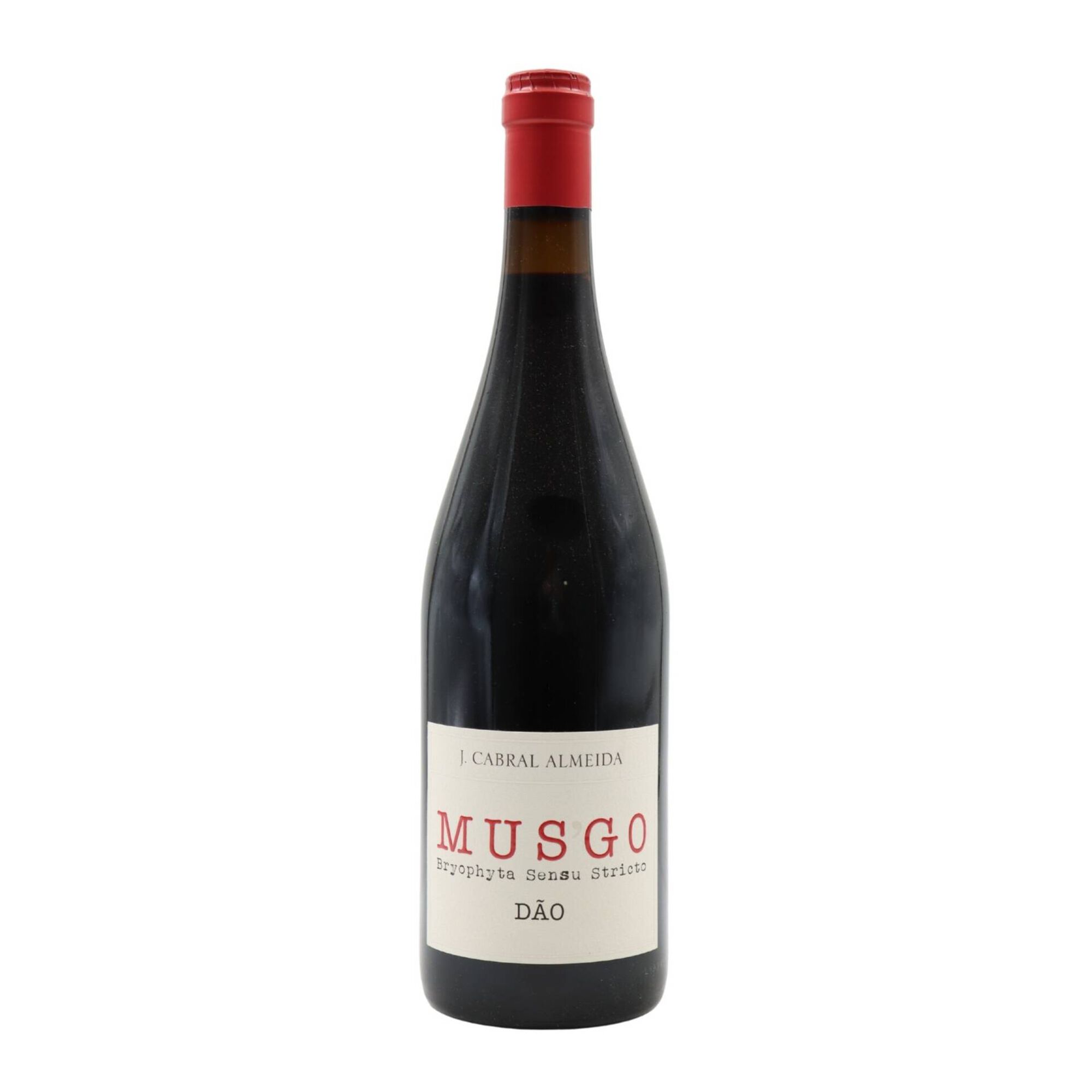 Musgo D&atilde;o Vinho Tinto