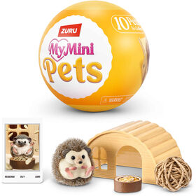 Concentra - My Mini Pets (v&aacute;rios modelos)