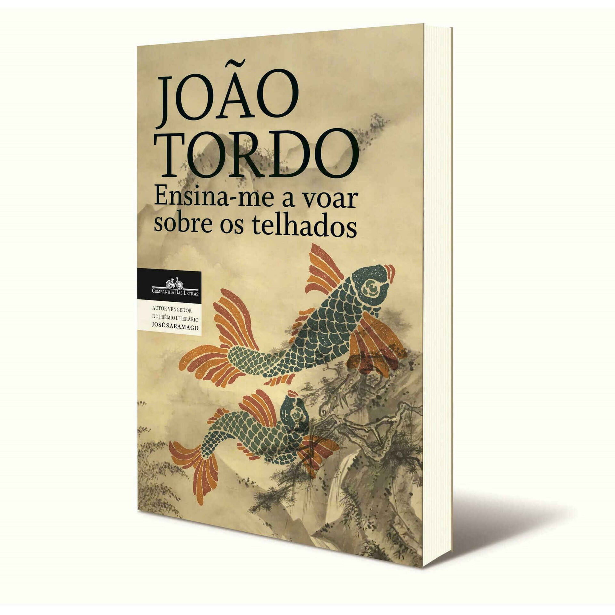 Ensina-me a Voar sobre os Telhados de Jo&atilde;o Tordo