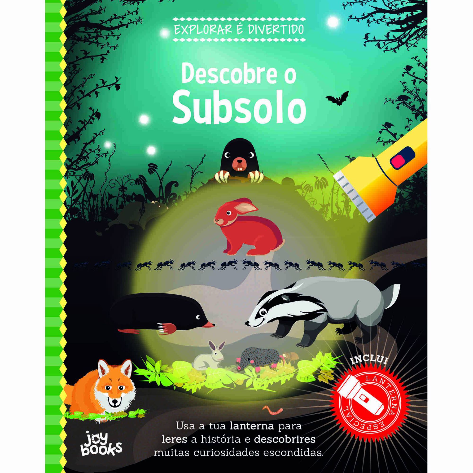 Descobre o Subsolo