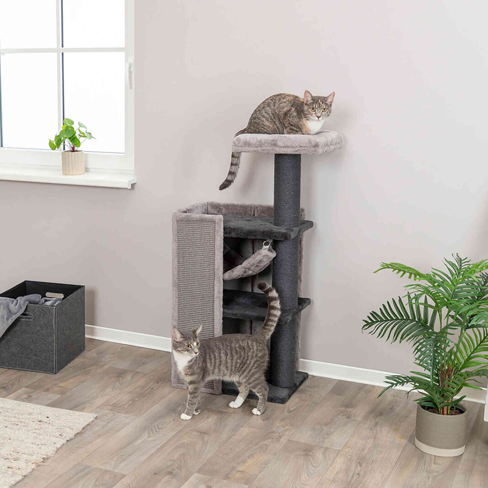 Arranhador para Gato Arianna Cinza