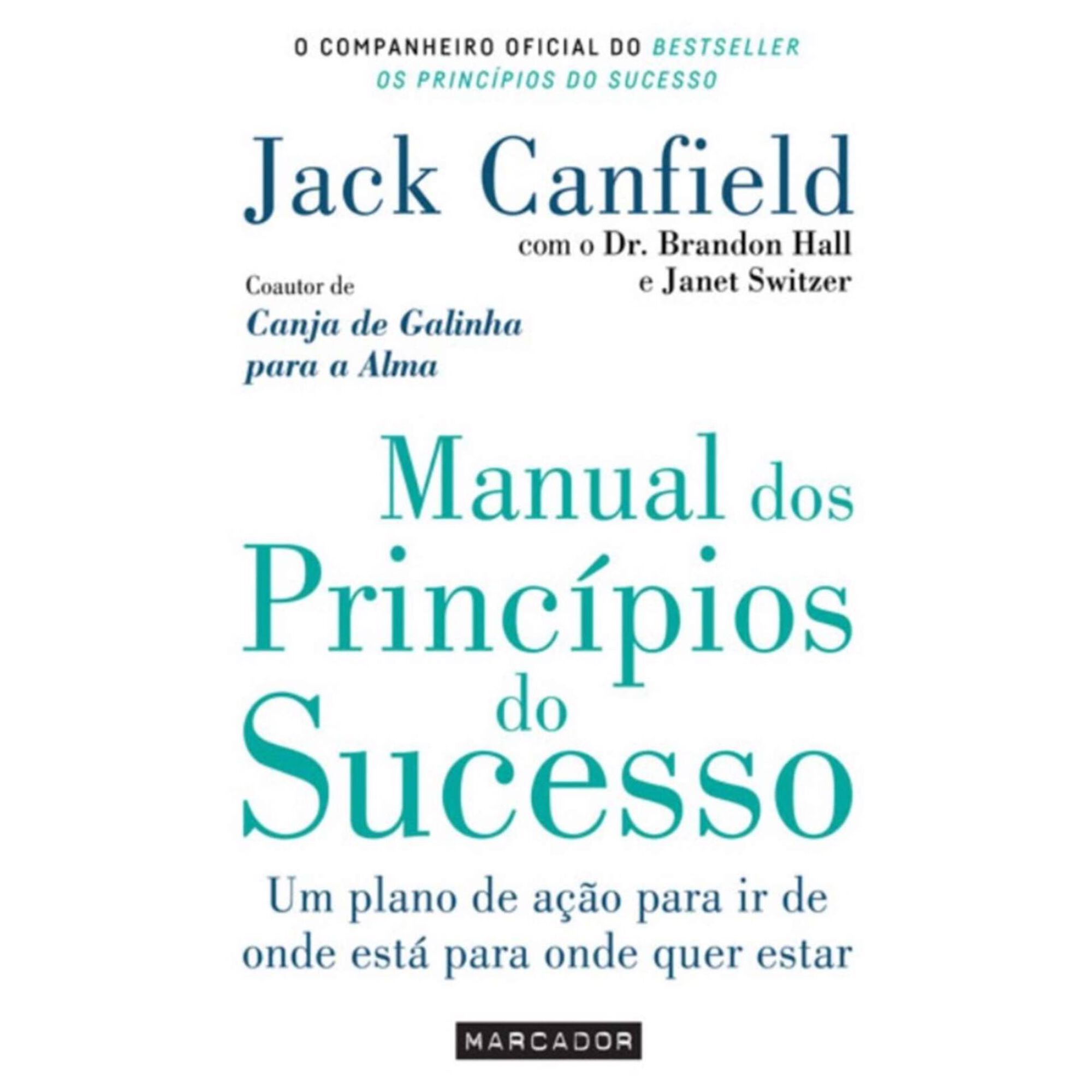 Manual dos Princípios do Sucesso