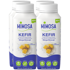 Iogurte Kefir Manga e Maracujá Iogurte Kefir Manga e Maracujá