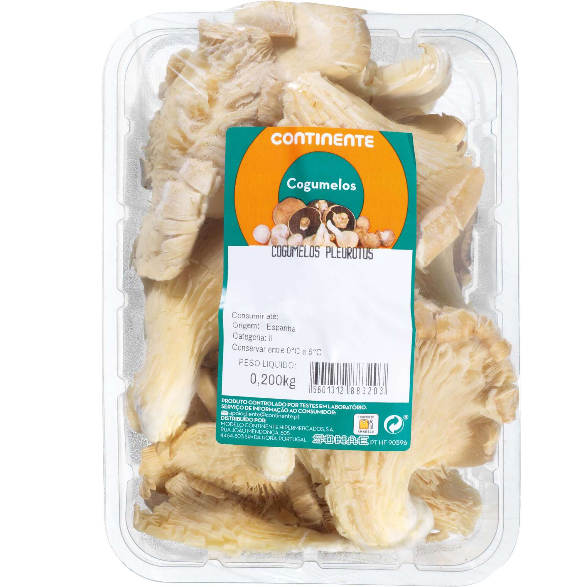 Cogumelo Pleurotus Cogumelo Pleurotus
