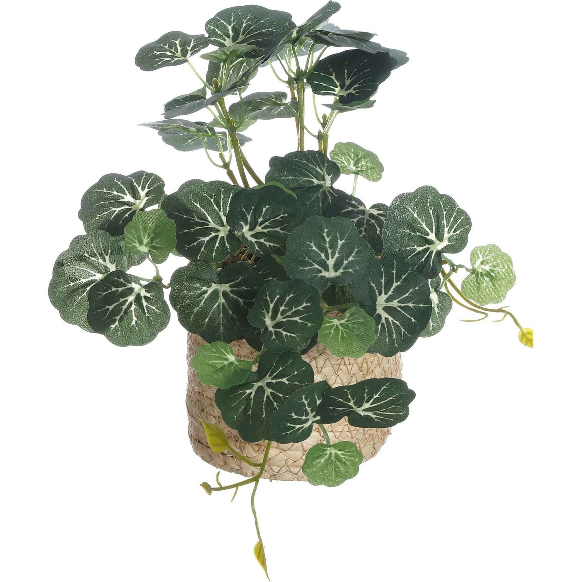 Planta Artificial a Cair em Vaso Palha