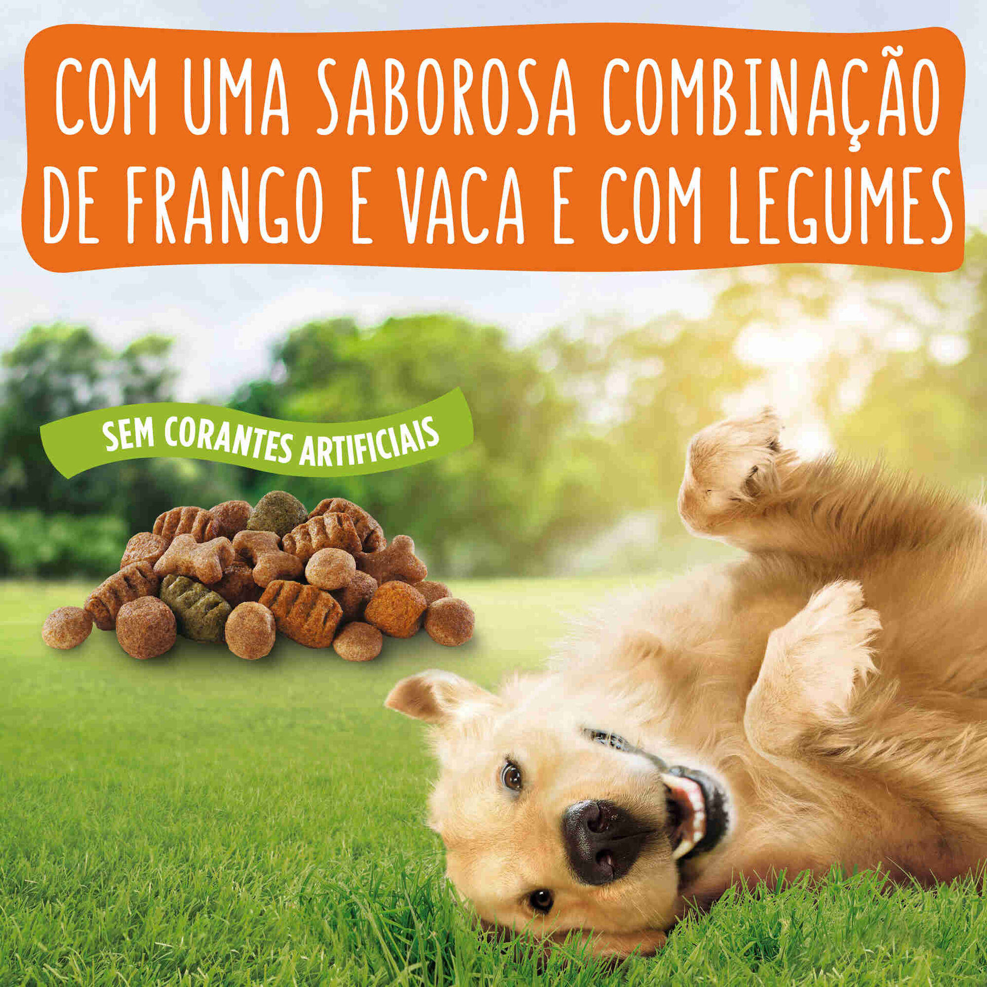 Ra&ccedil;&atilde;o para C&atilde;o Adulto Balance Frango e Legumes Purina Friskies