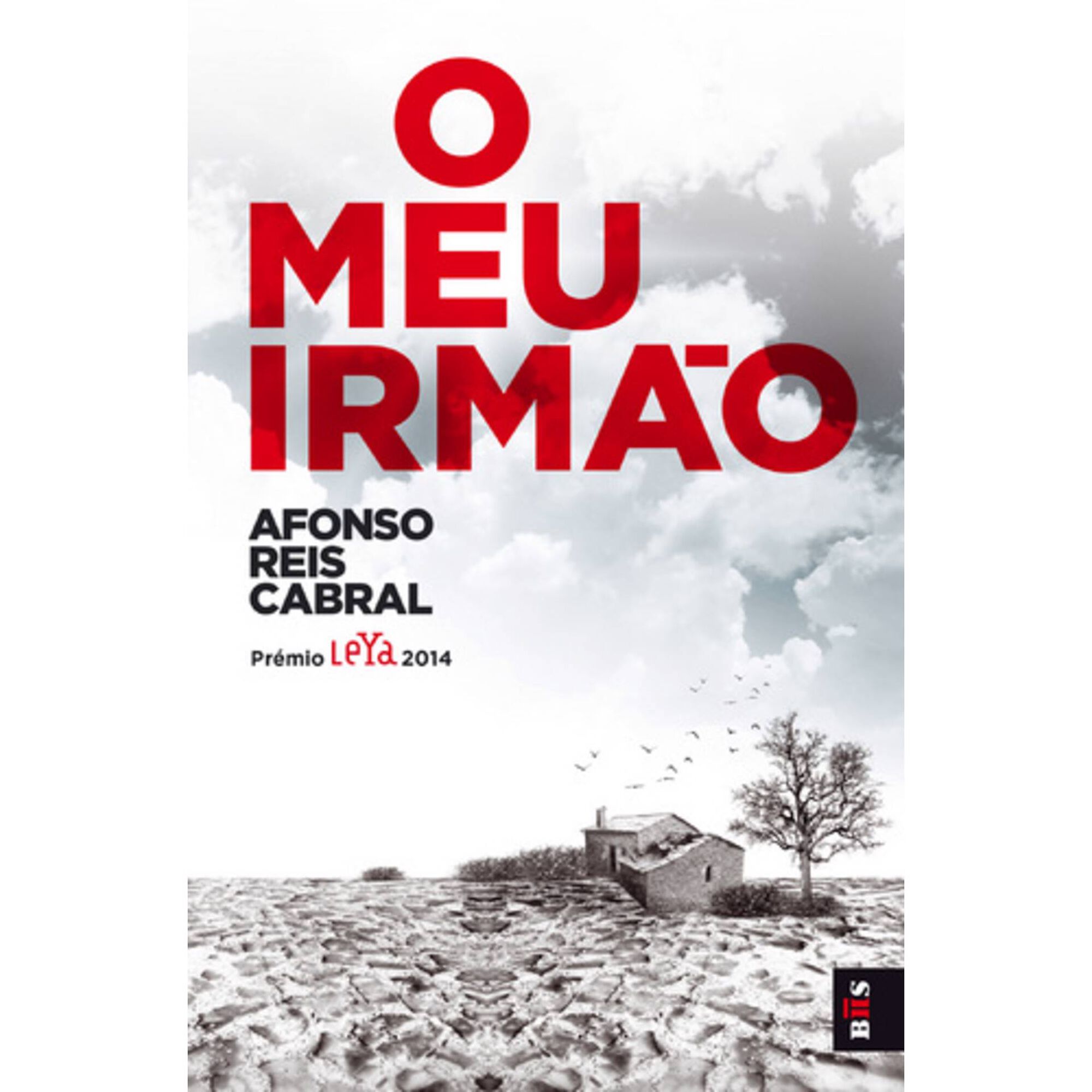 O Meu Irm&atilde;o de Afonso Reis Cabral