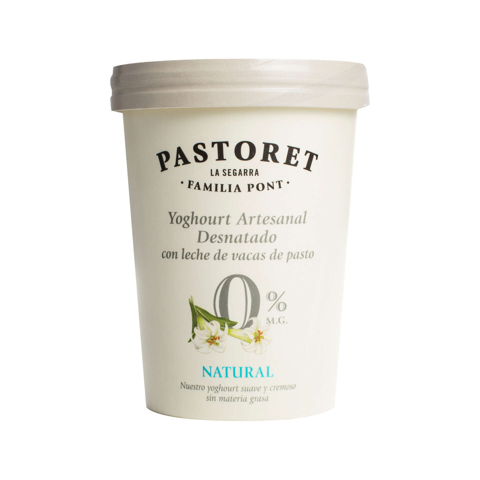 Iogurte Magro Natural