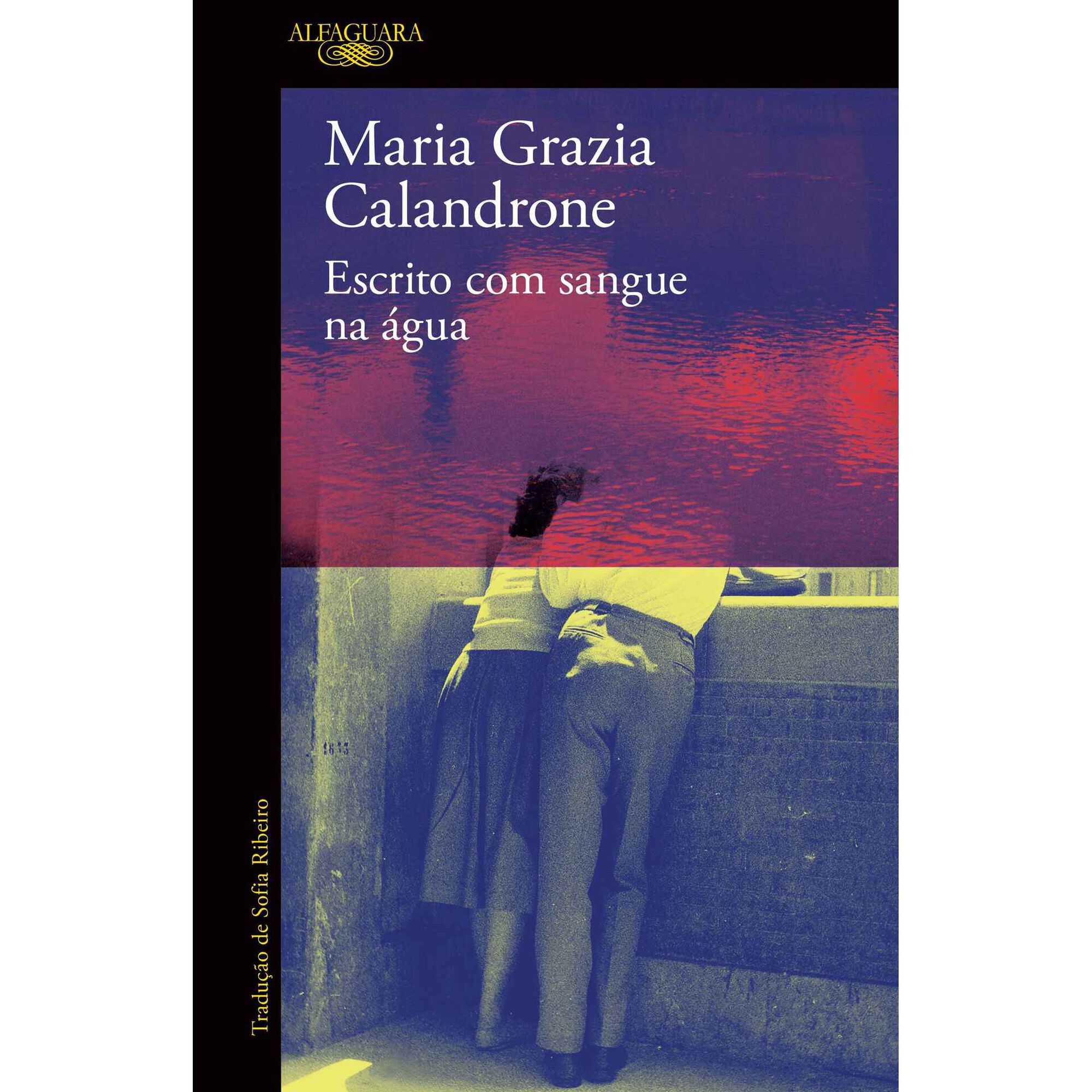 Escrito com Sangue na &Aacute;gua de Maria Grazia Calandrone