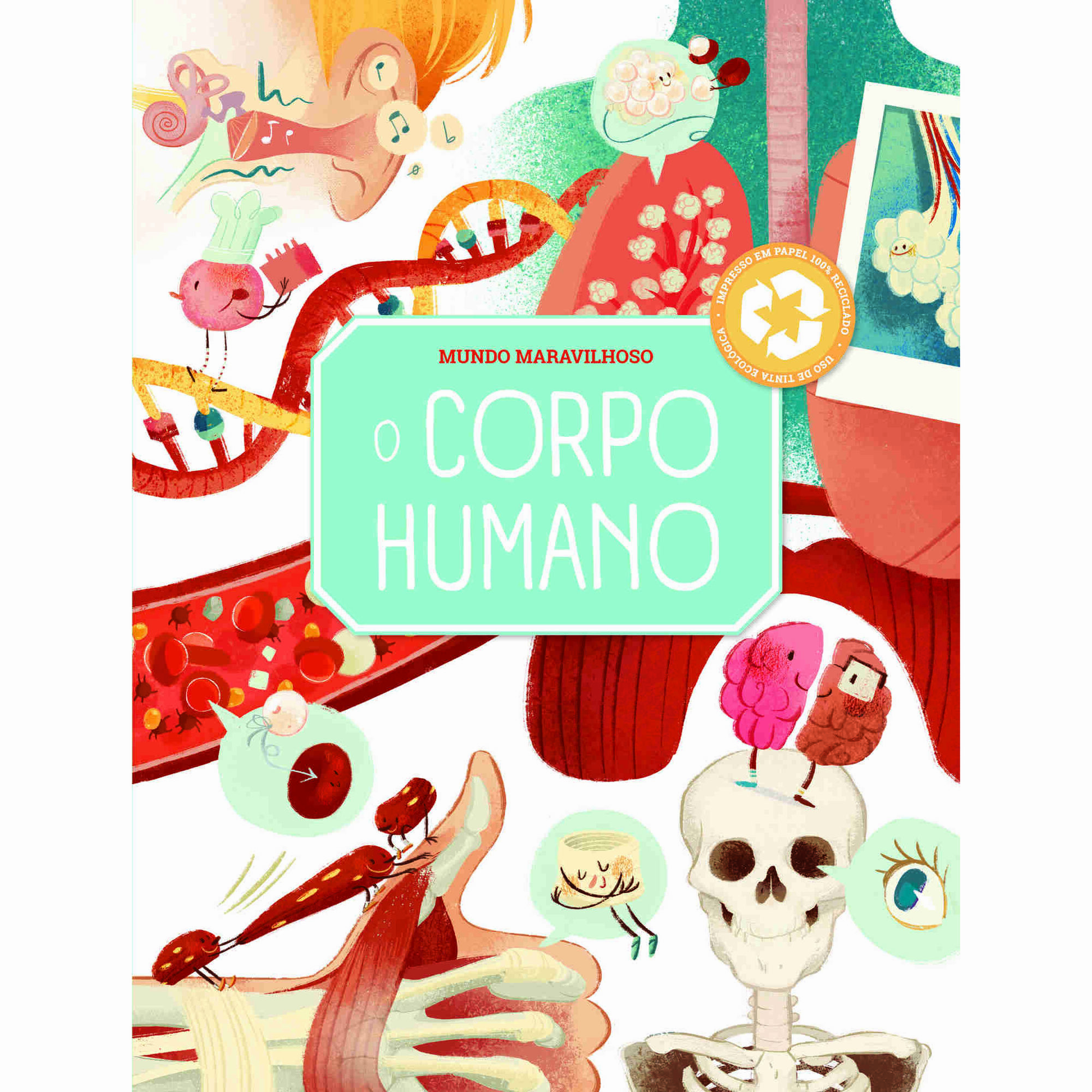 O Corpo Humano O Corpo Humano