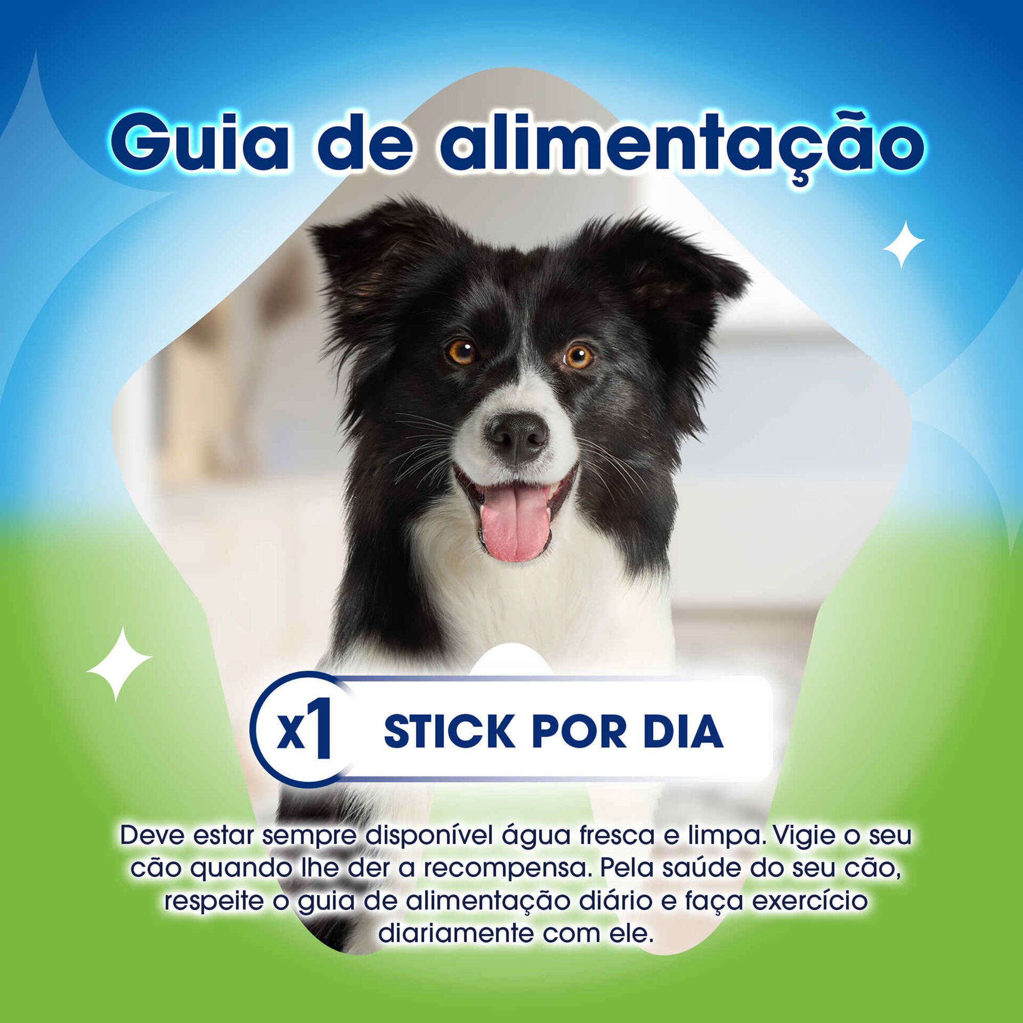 Snack para C&atilde;o Mini Activefresh Purina Dentalife