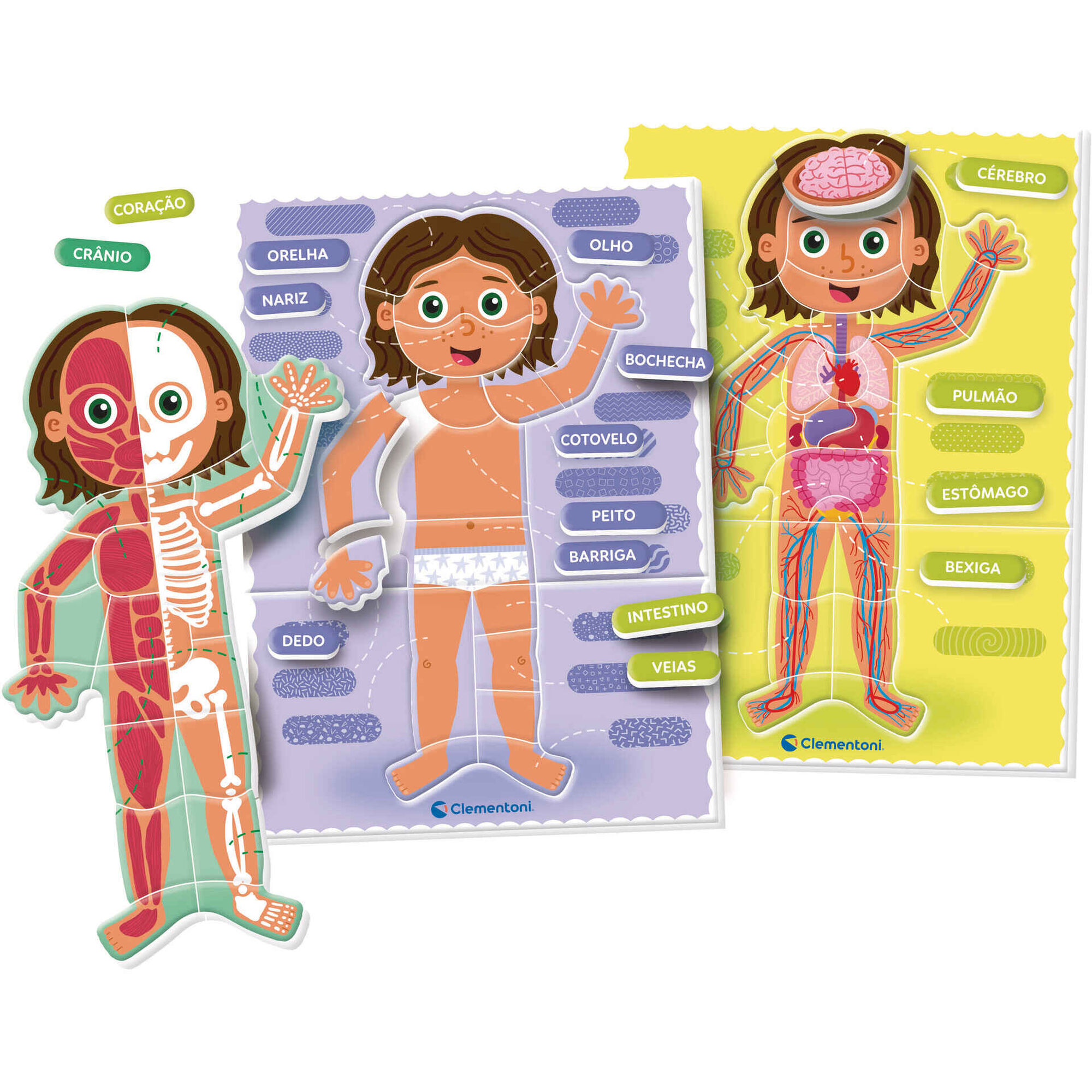 Jogo de Tabuleiro Montessori - Corpo Humano