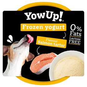 Iogurte Congelado para C&atilde;o Salm&atilde;o Tartar YowUP!