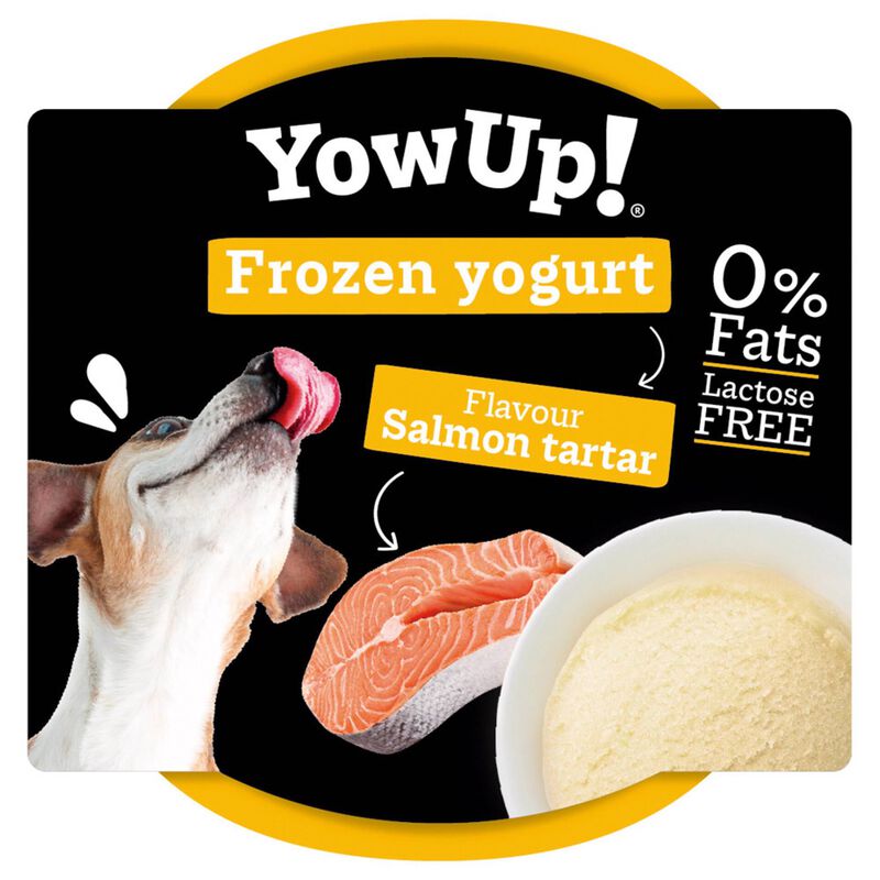 Iogurte Congelado para Cão Salmão Tartar YowUP!