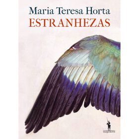 Estranhezas de Maria Teresa Horta