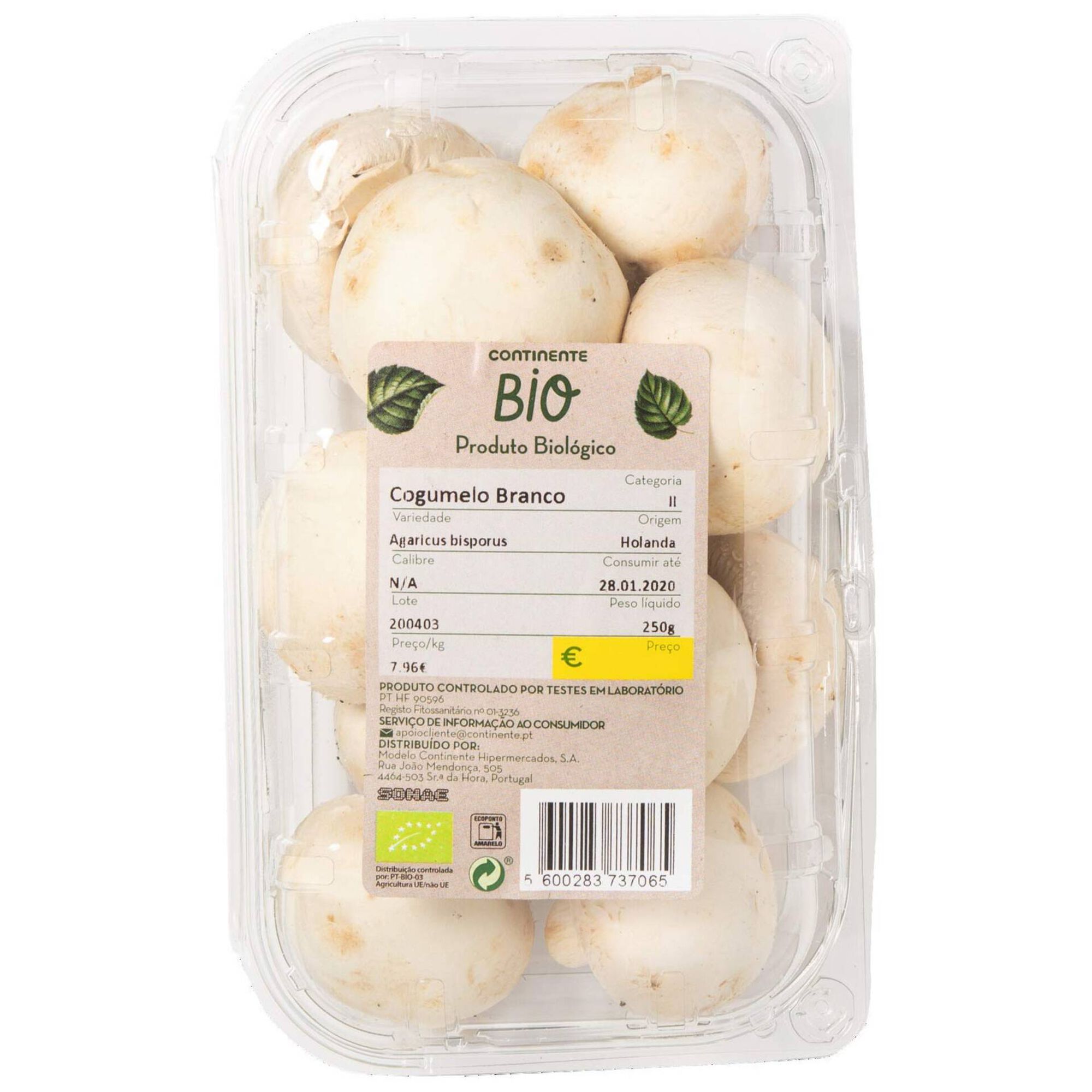 Cogumelo Biológico Cogumelo Biológico