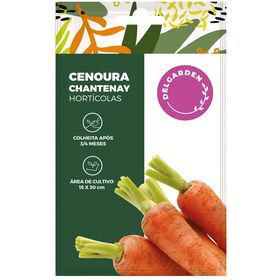 Sementes Hort&iacute;colas Cenoura Chantenay
