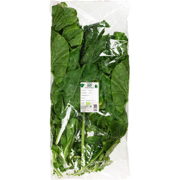 Nabiça Biológica Continente Bio