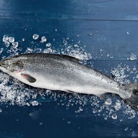 Salmão Inteiro Fresco