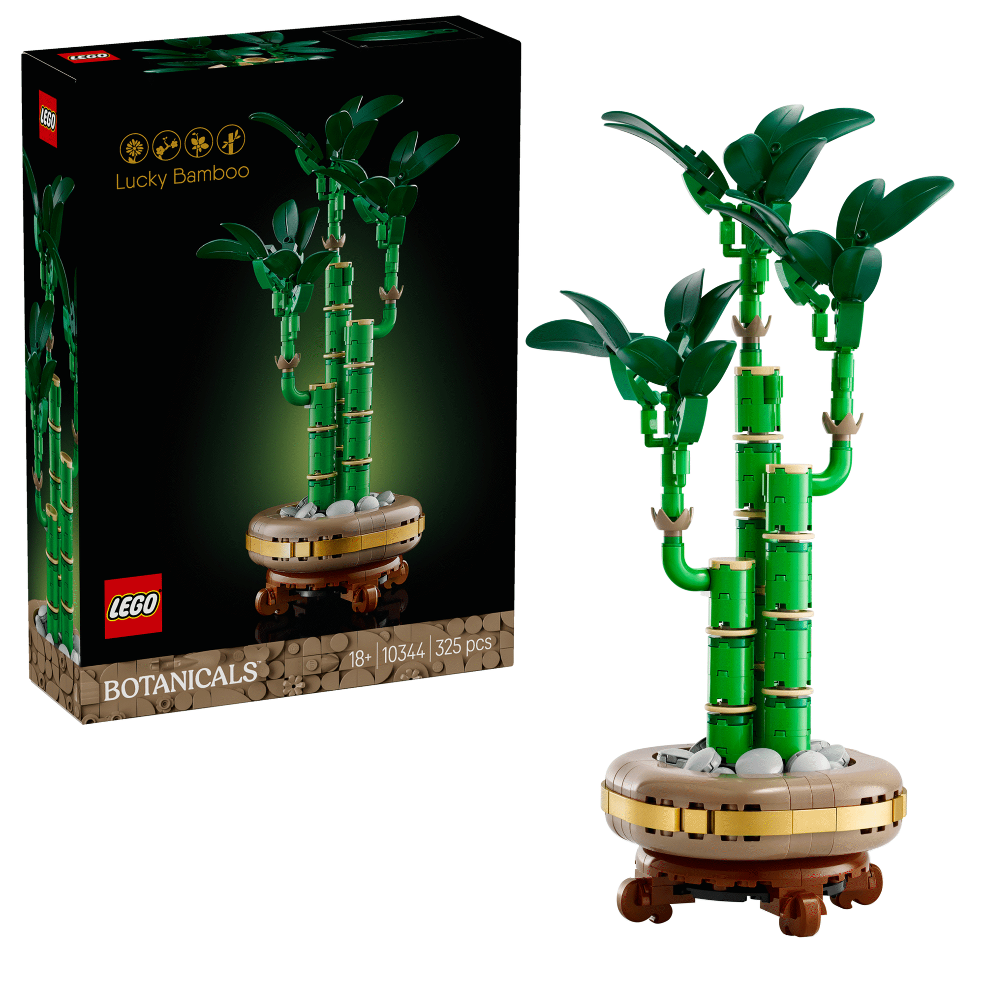 Bambu da Sorte - 10344