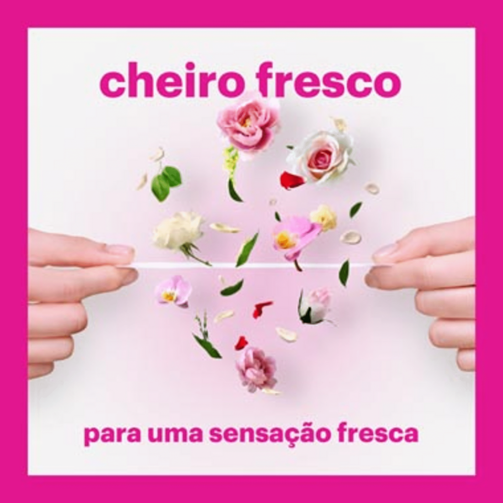 Pensos Di&aacute;rios Salvaslip Normal em Bolsinhas