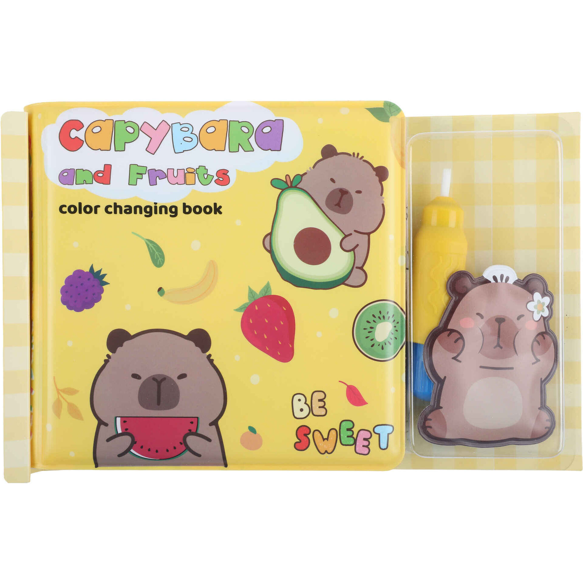 Kit de  Livro M&aacute;gico (v&aacute;rios modelos) Pintura