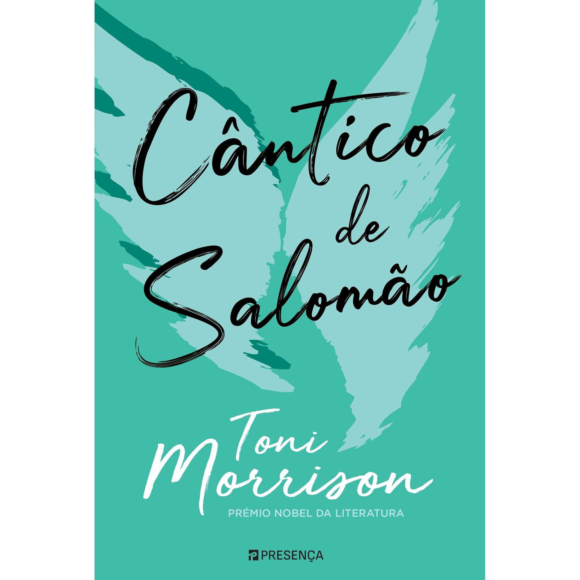 C&acirc;ntico de Salom&atilde;o de Toni Morrison