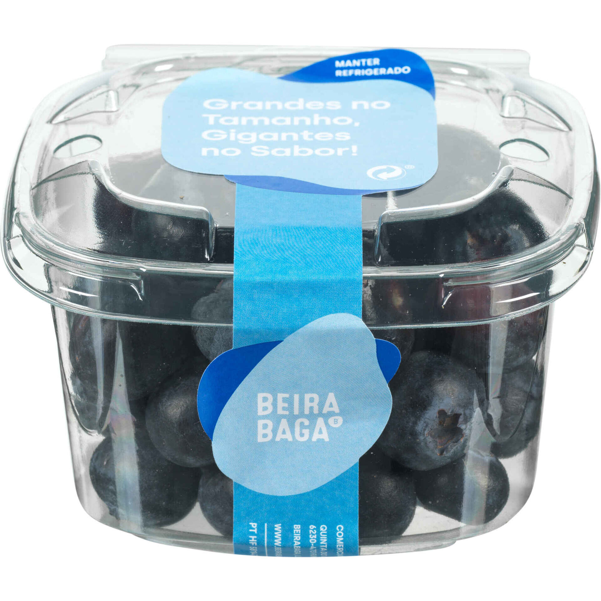 Mirtilo Beirabaga