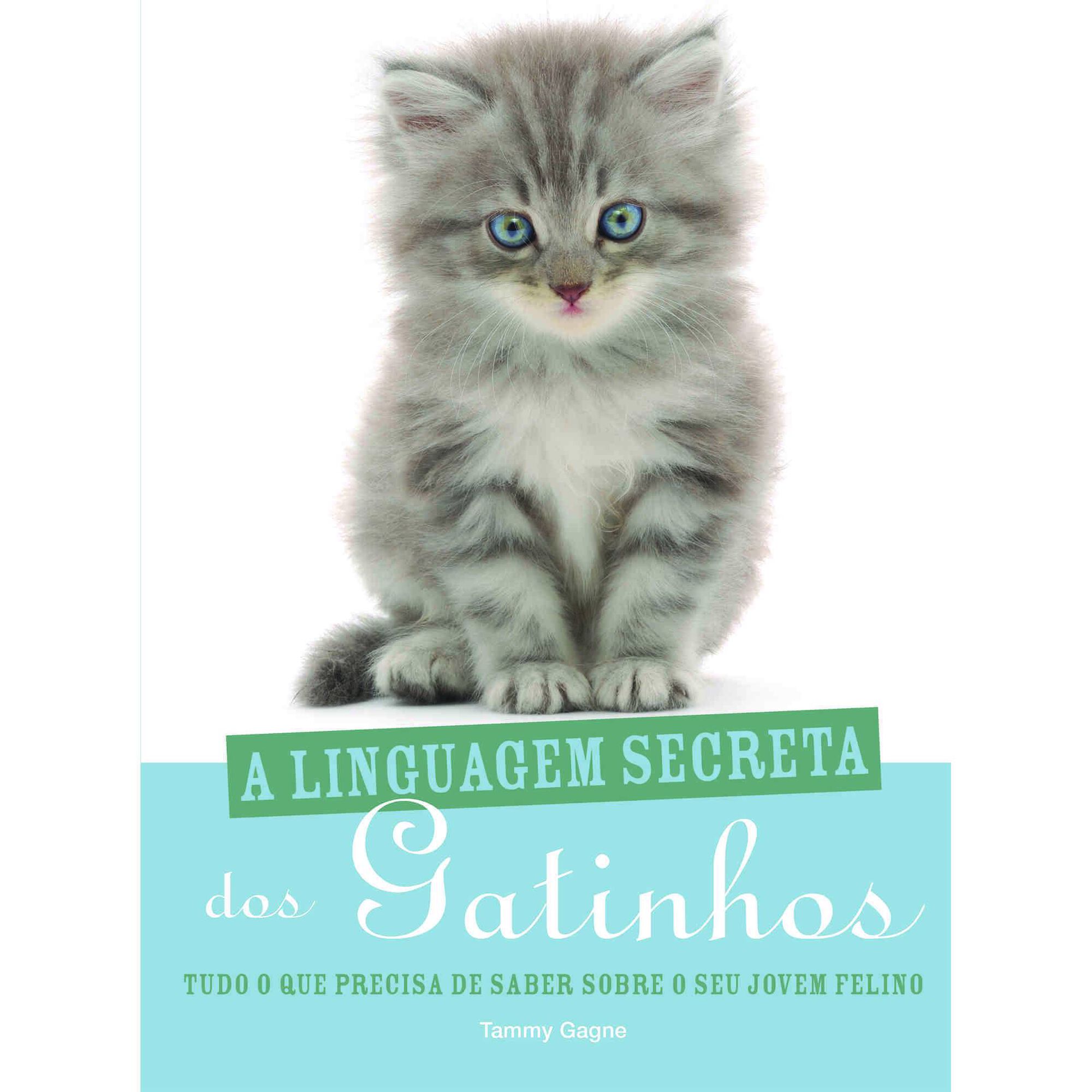 A Linguagem Secreta dos Gatinhos
