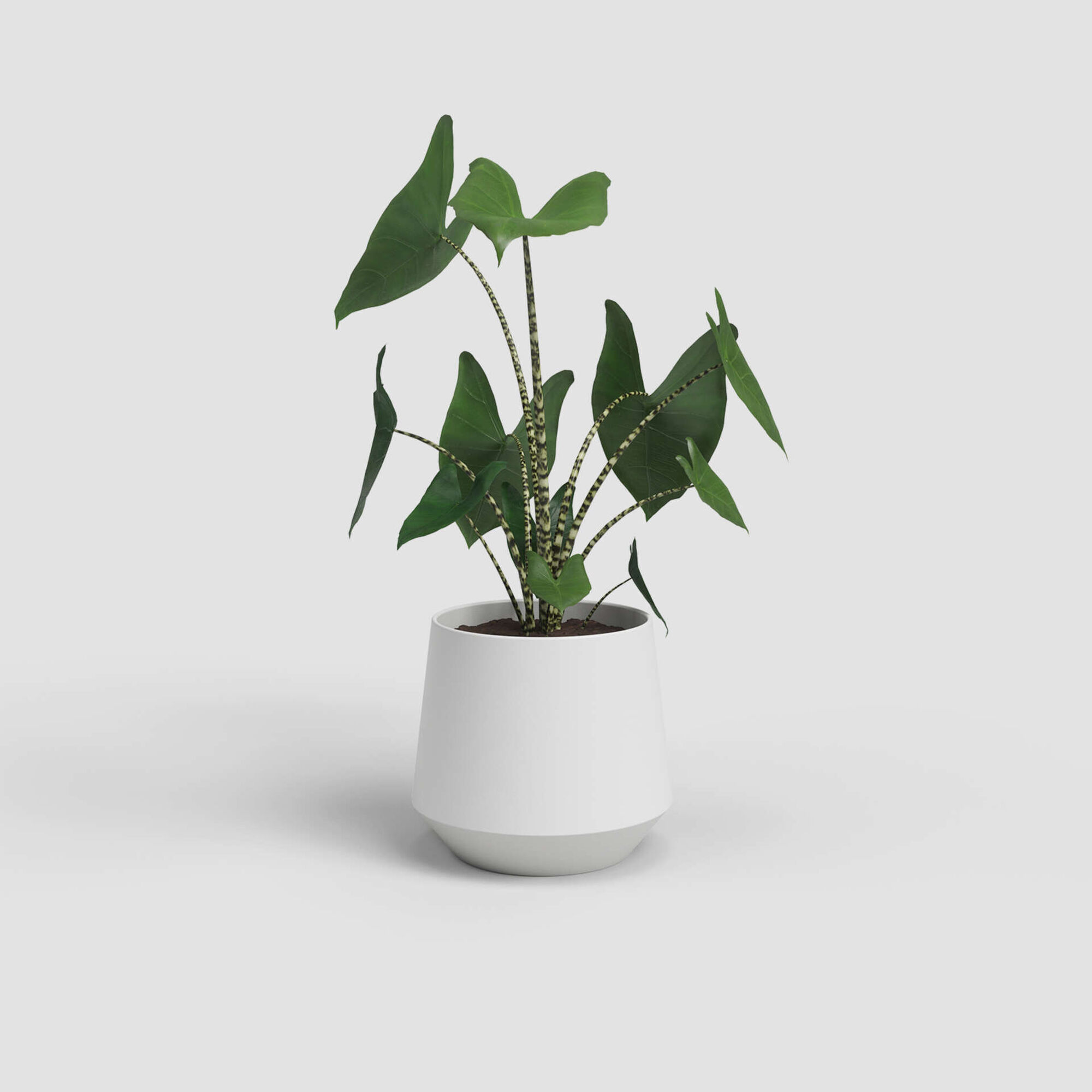 Vaso Redondo Faiança 17cm Branco