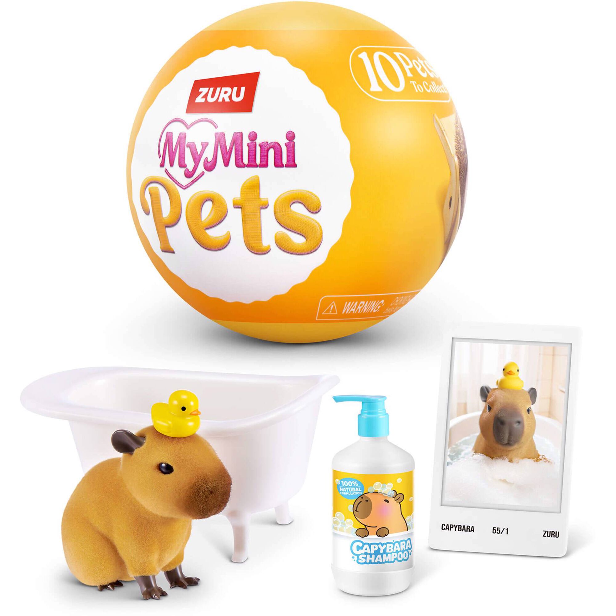 Concentra - My Mini Pets (v&aacute;rios modelos)