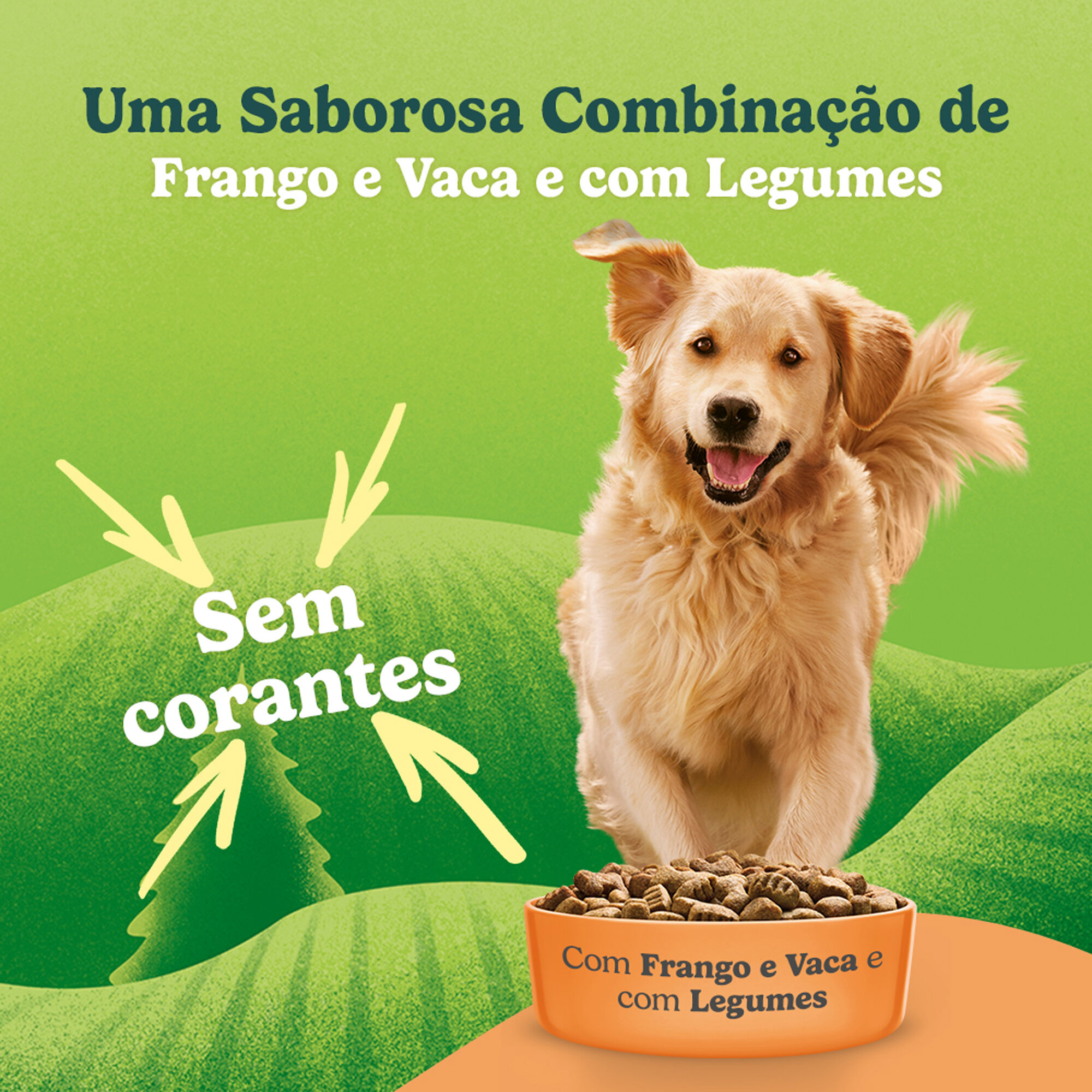 Ra&ccedil;&atilde;o para C&atilde;o Adulto Balance Frango e Legumes Purina Friskies