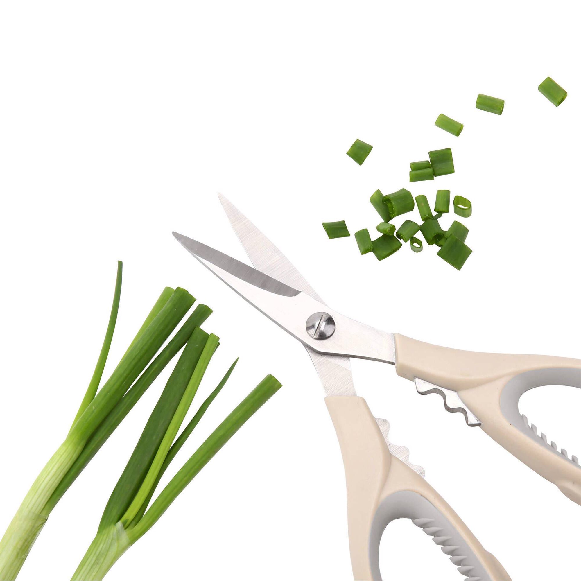 Tesoura Ervas Aromáticas Aço Inoxidável Bege 4 My Kitchen