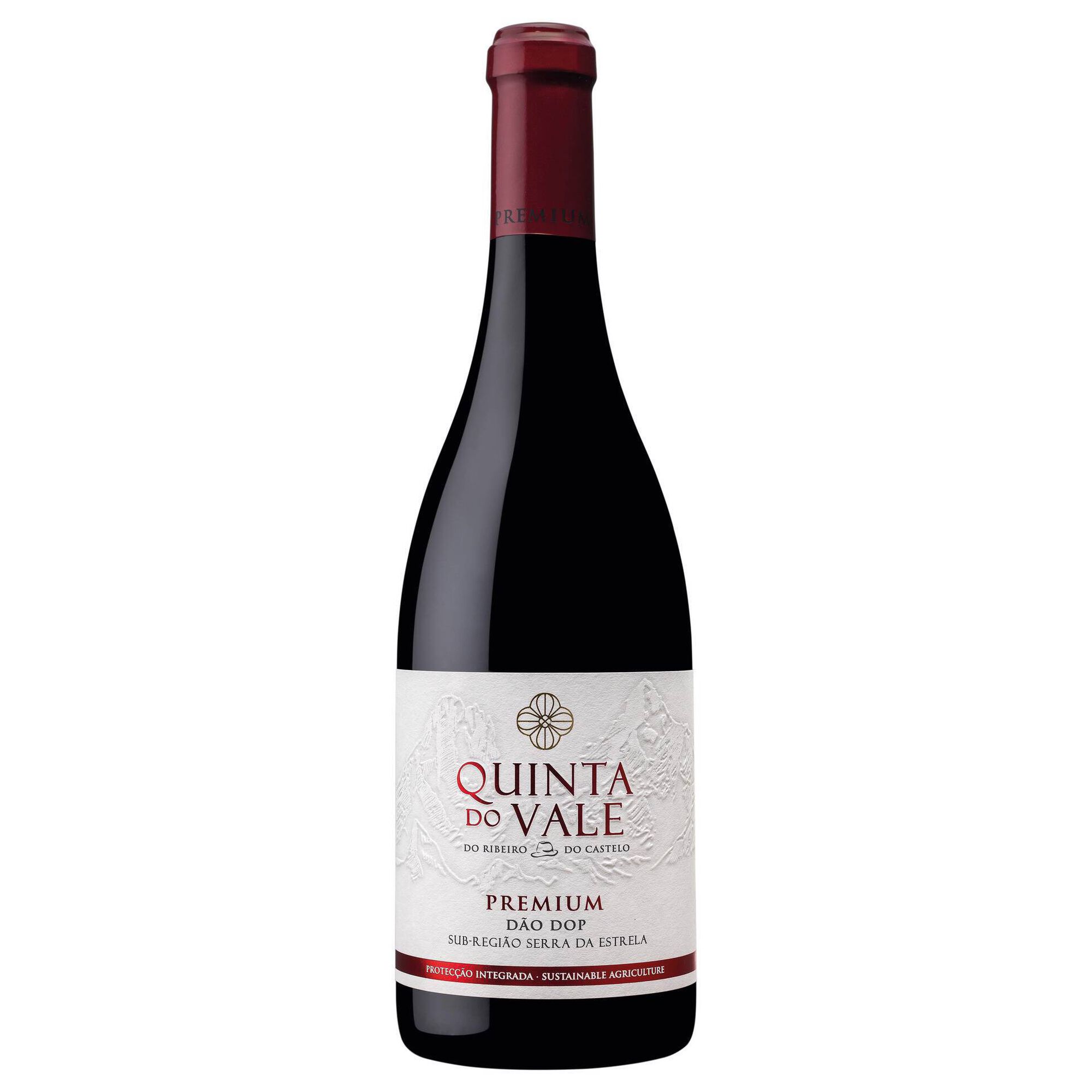 Quinta do Vale da Ribeira Premium DOC Dão Vinho Tinto
