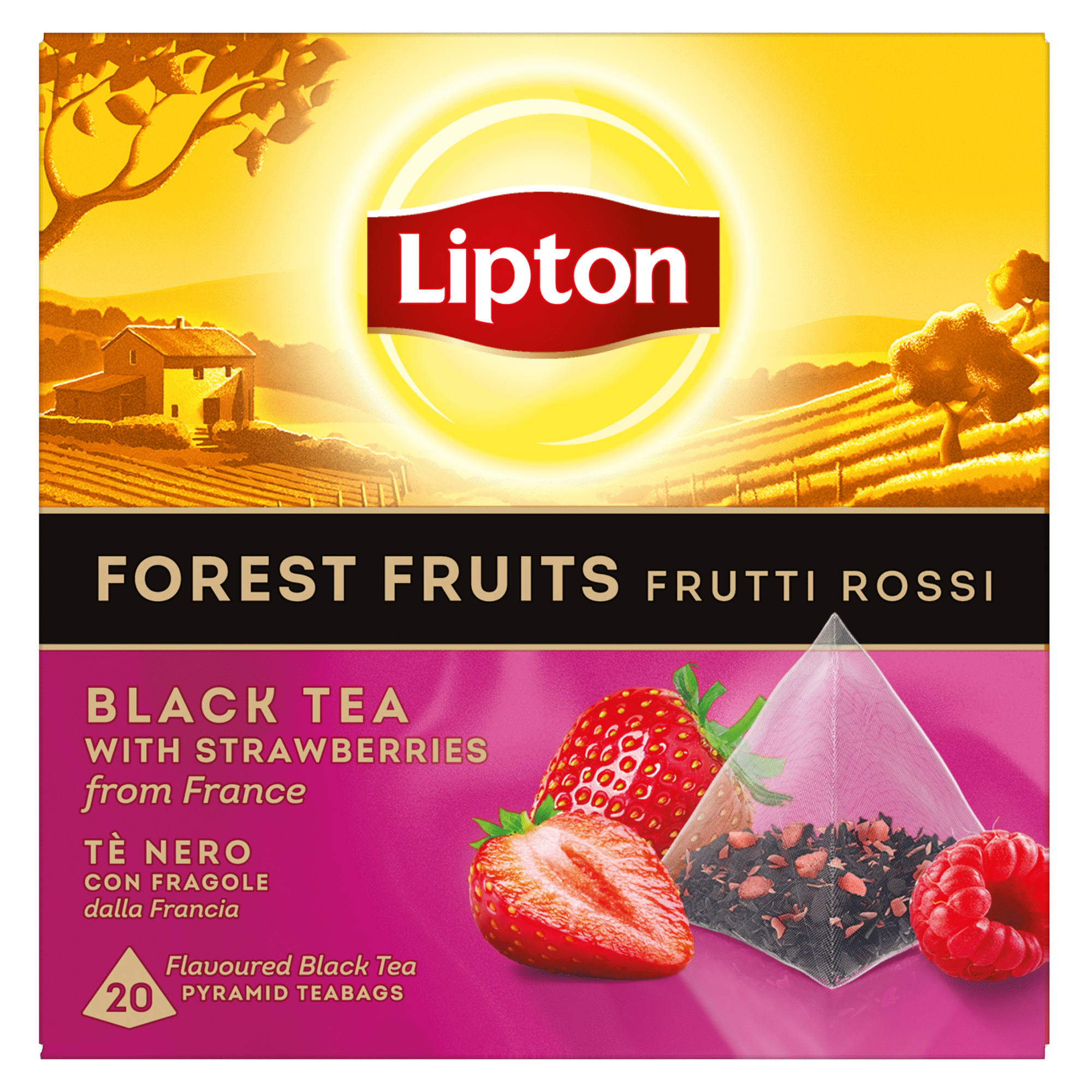 Ch&aacute; Preto e Frutos Silvestres Pyramid Saquetas Lipton