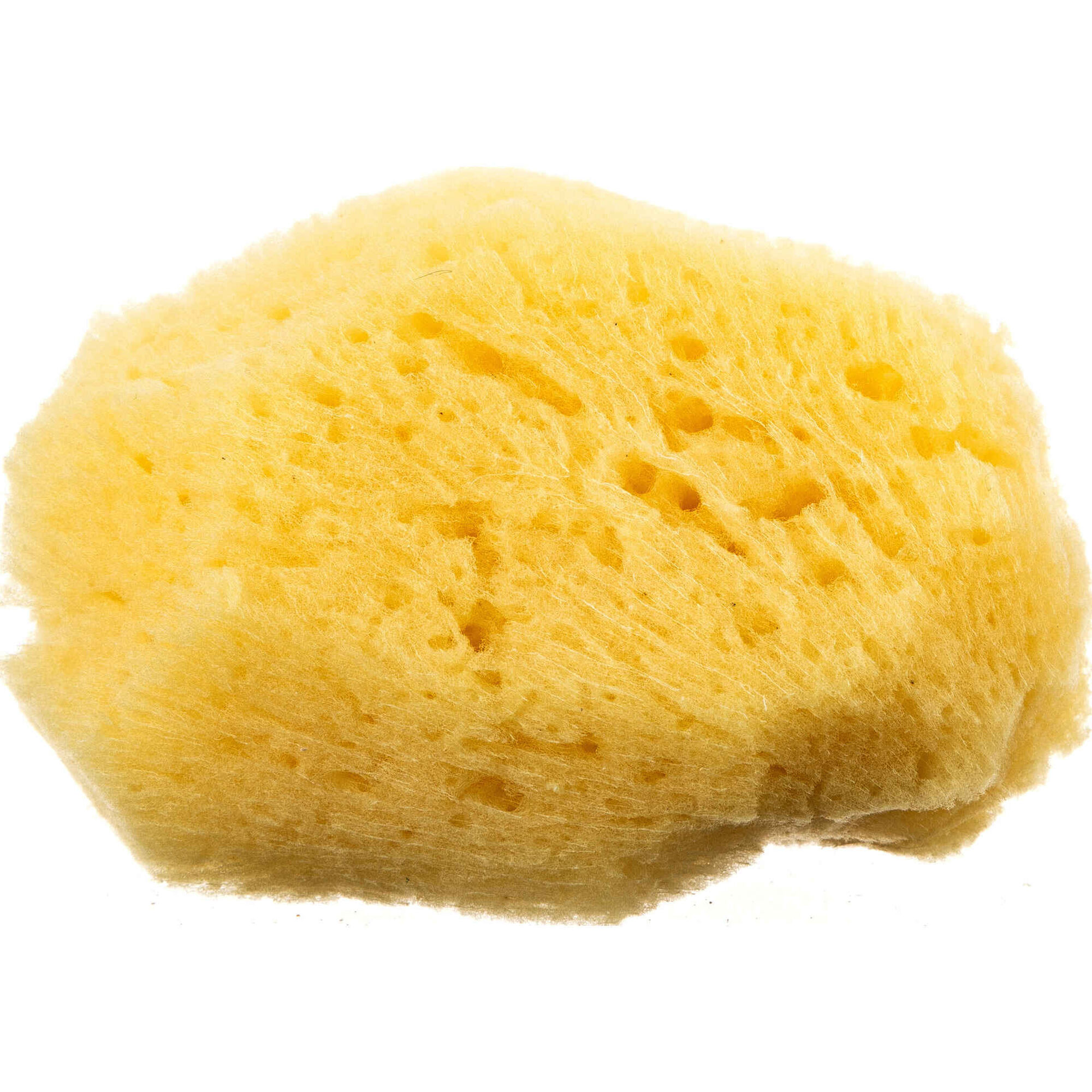 Esponja Banho Natural
